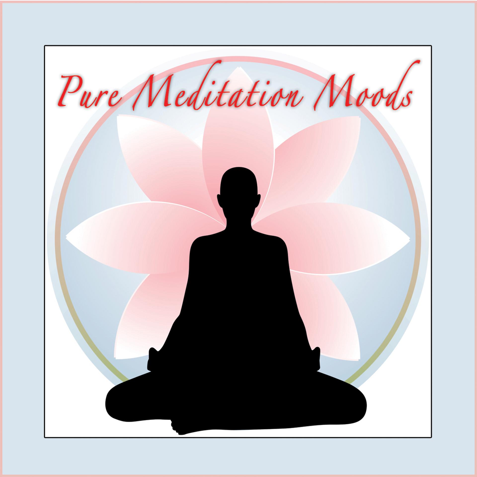 Постер альбома Pure Meditation Moods