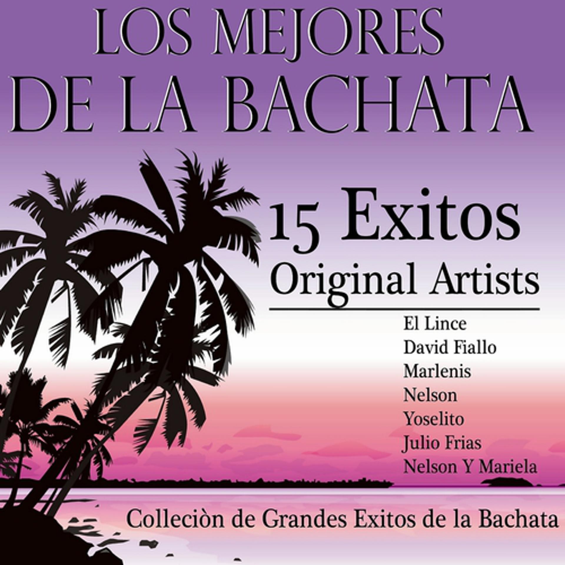 Постер альбома Los Mejores de la Bachata: 15 Exitos