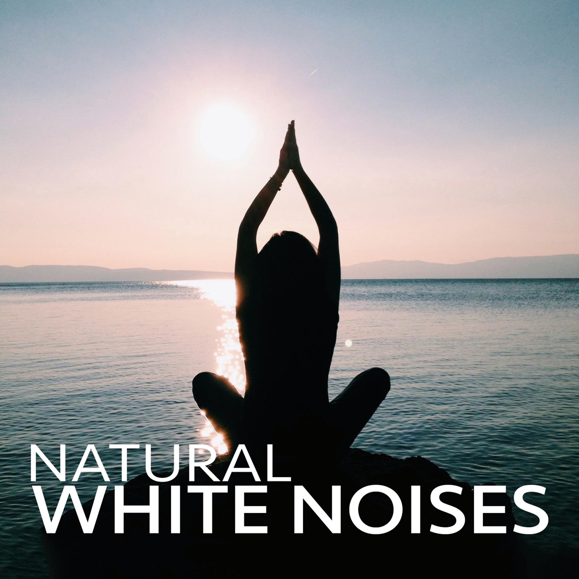 Постер альбома Natural White Noises