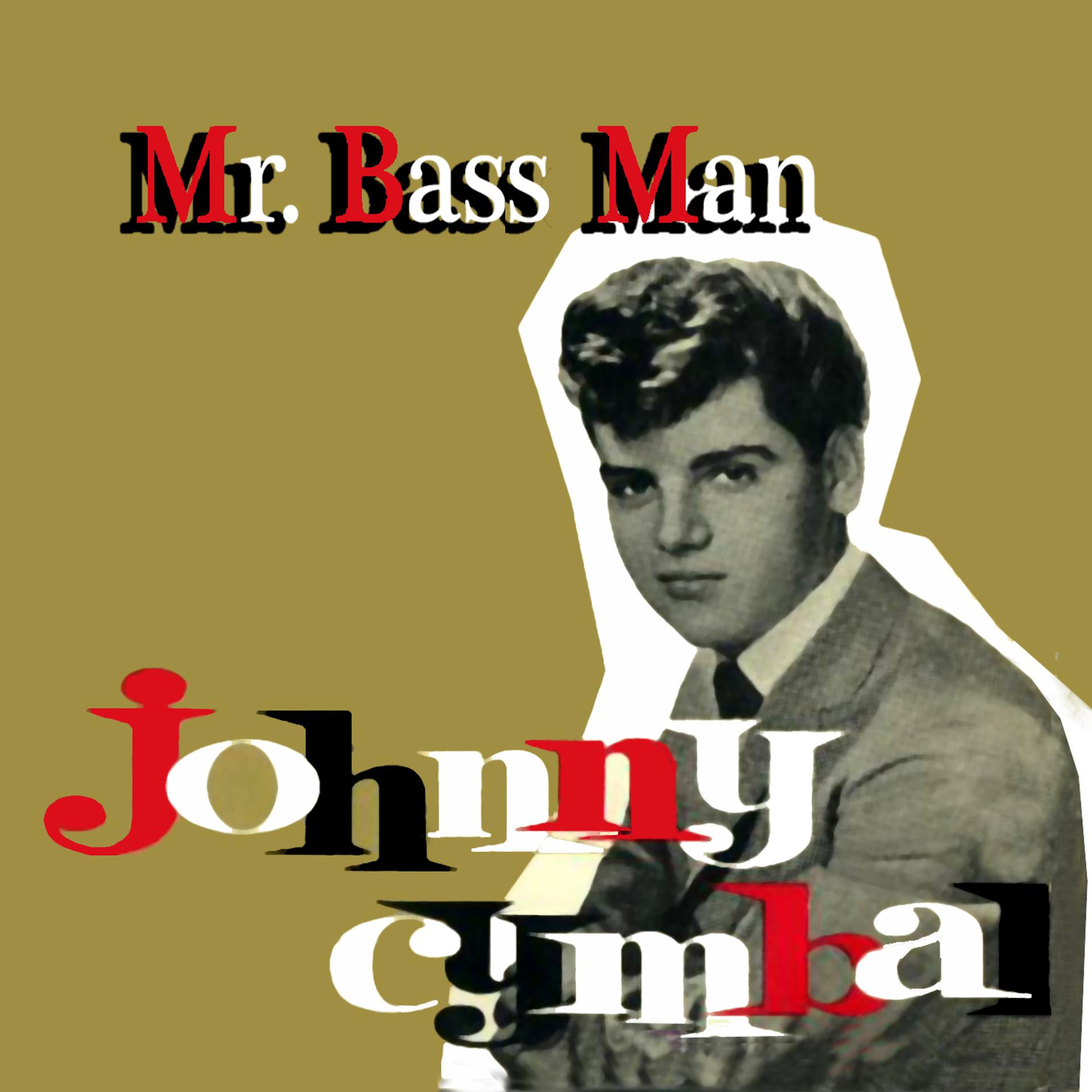 Постер альбома Mr. Bass Man
