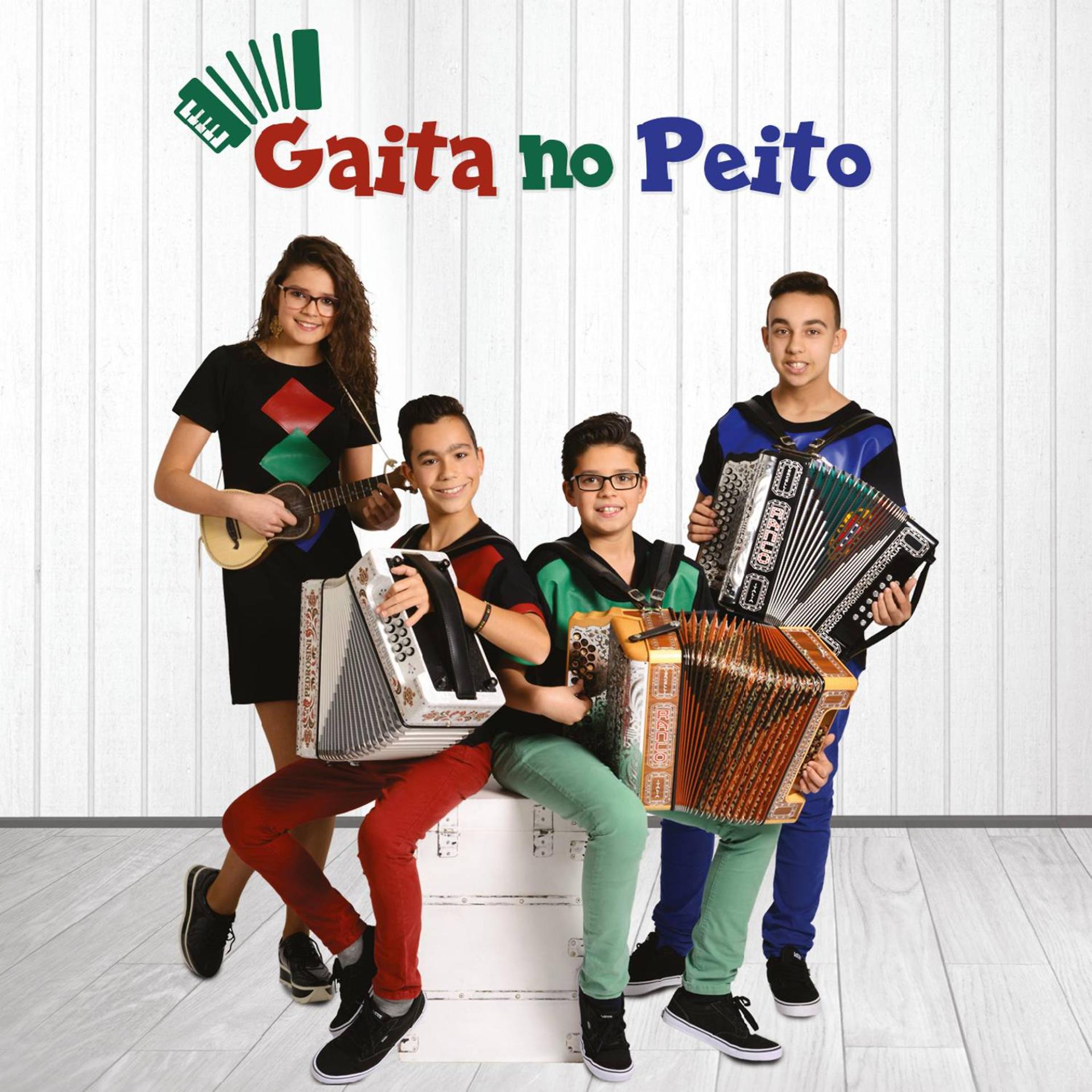 Постер альбома Gaita No Peito