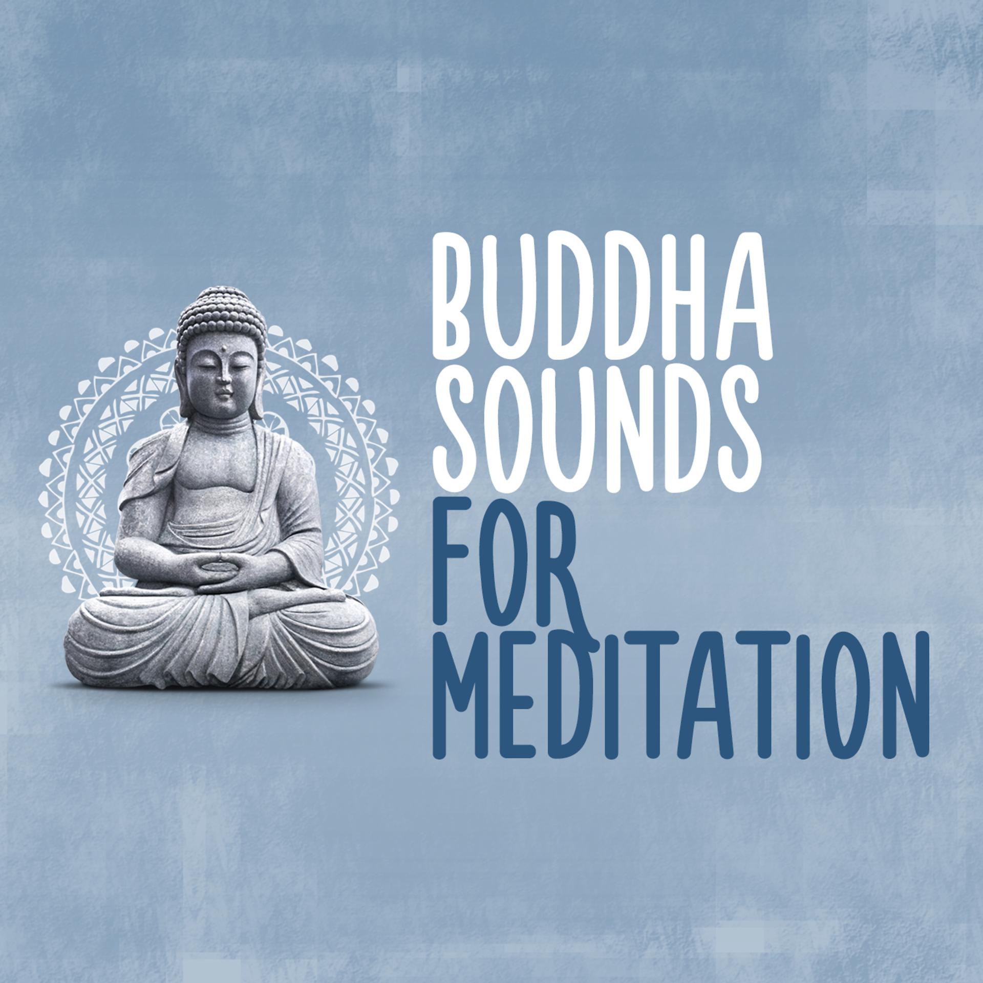 Постер альбома Buddha Sounds for Meditation