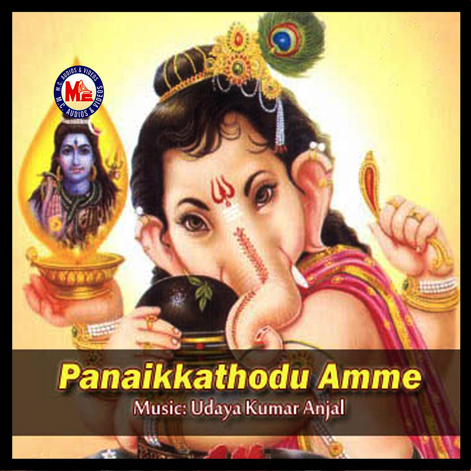 Постер альбома Panaikkathodu Amme