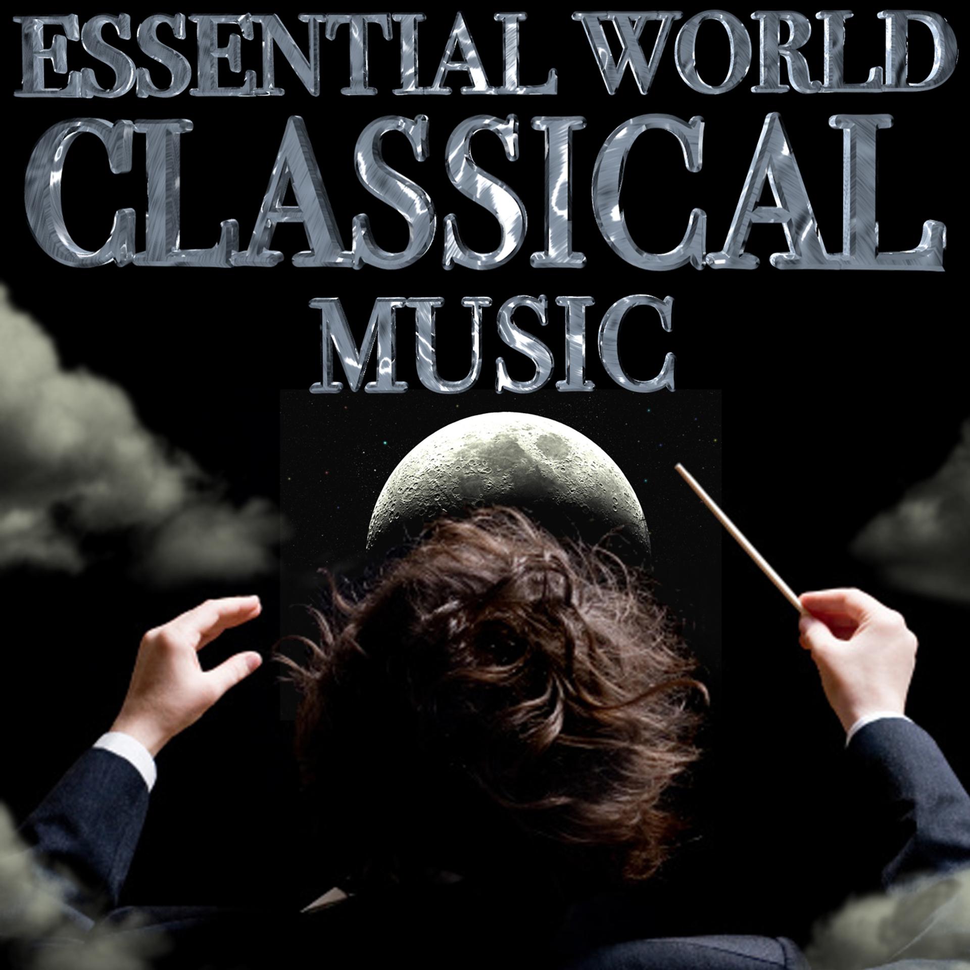 Постер альбома Essential World Classical Music