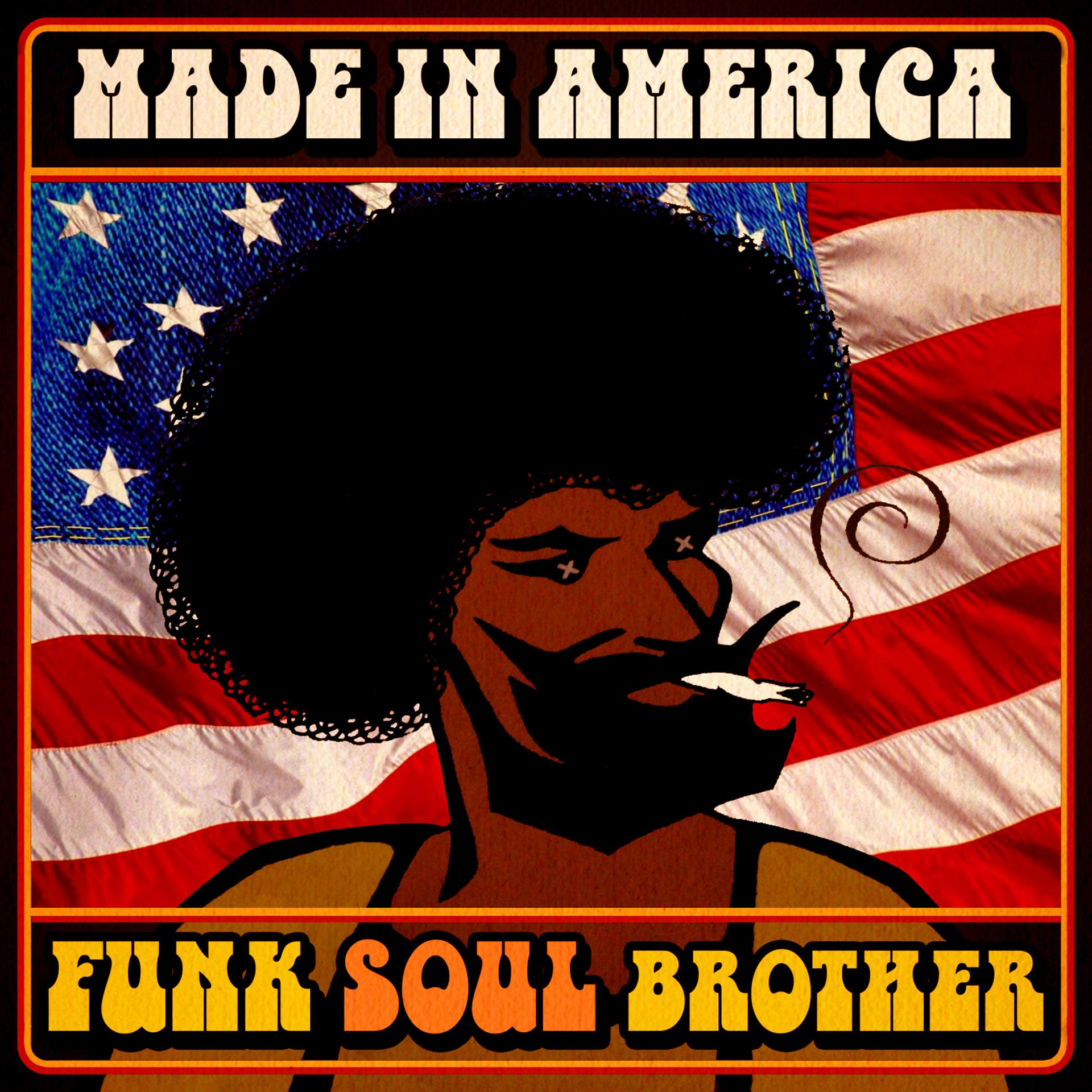 Постер альбома Made in America - Funk Soul Brother!