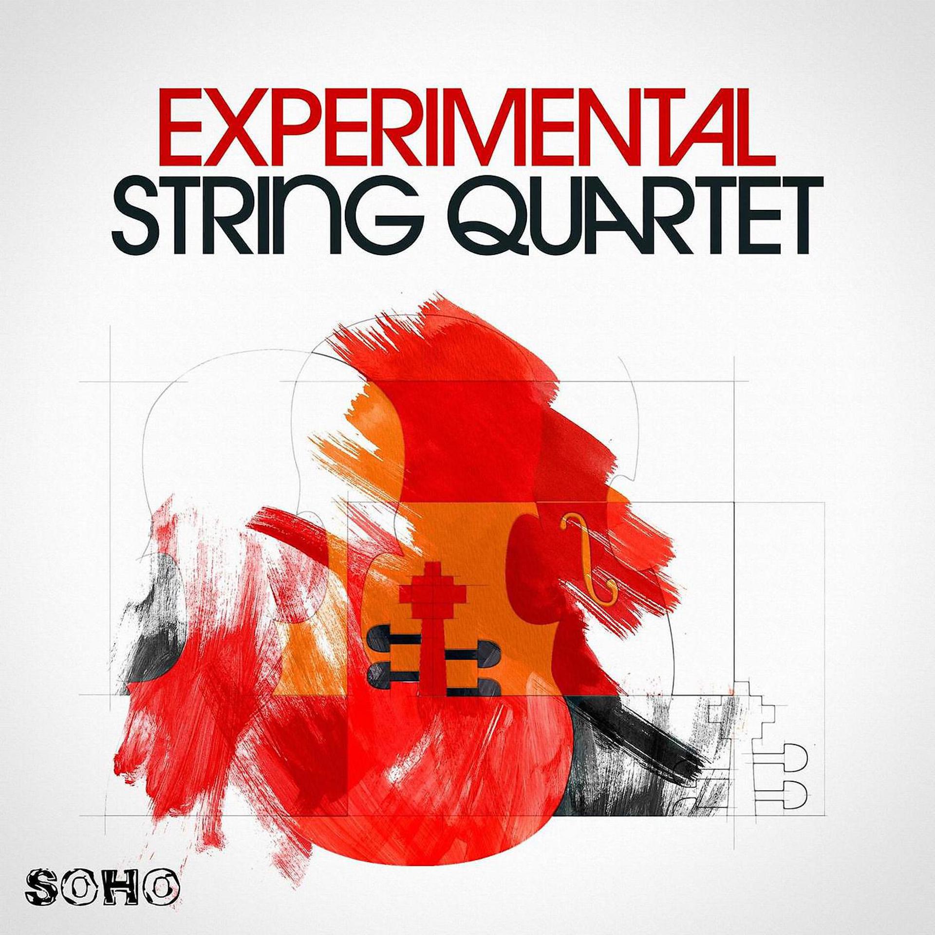 Постер альбома Experimental String Quartet