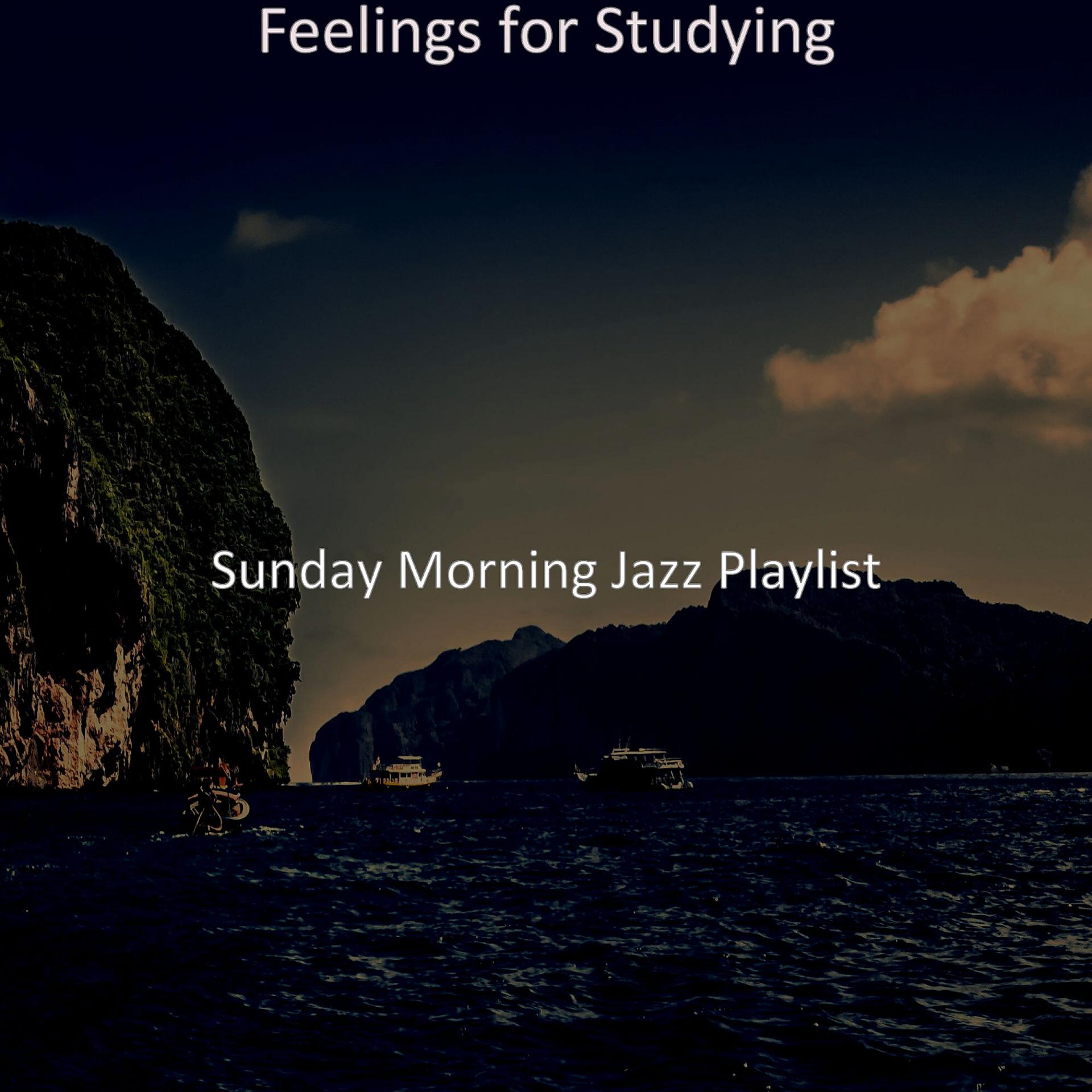 Постер альбома Feelings for Studying