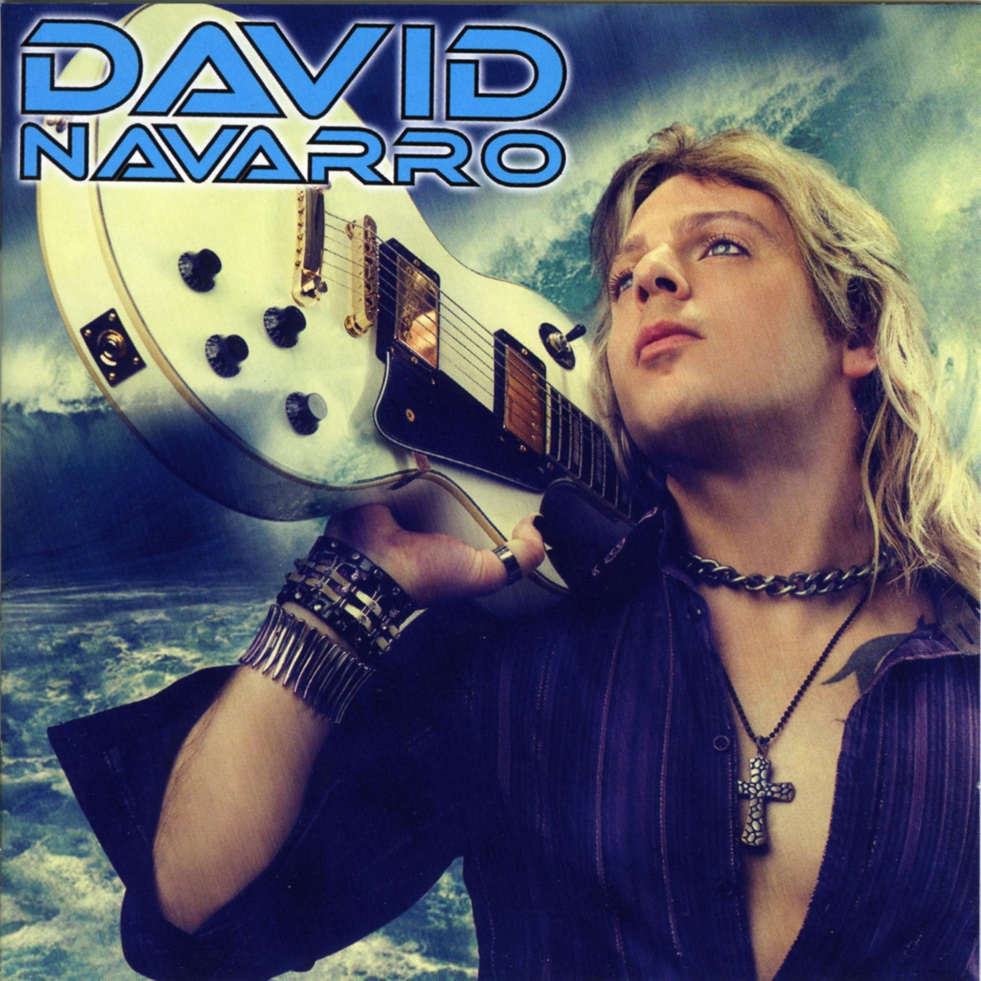 Постер альбома David Navarro