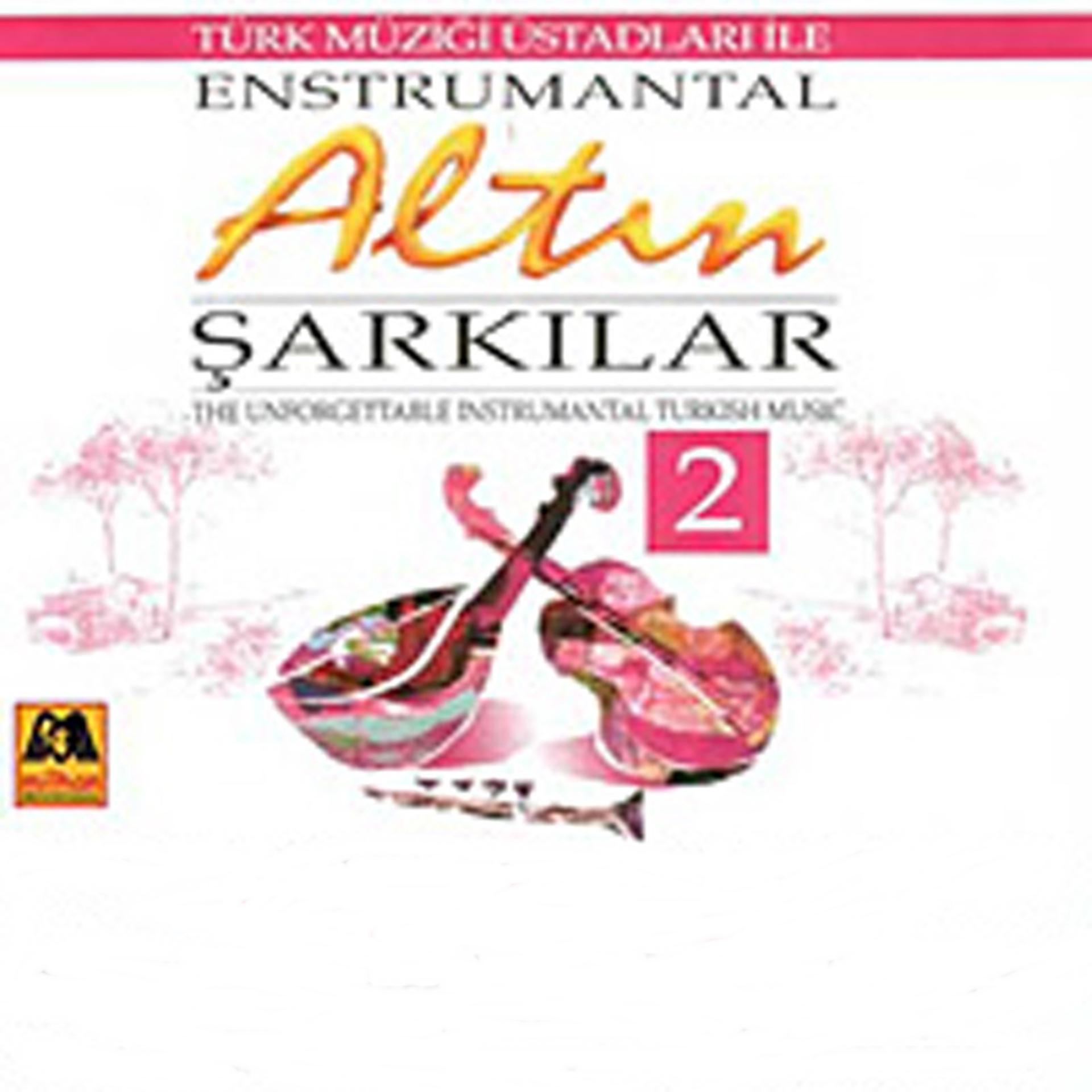 Постер альбома Enstrumantal Altın Şarkılar - 2