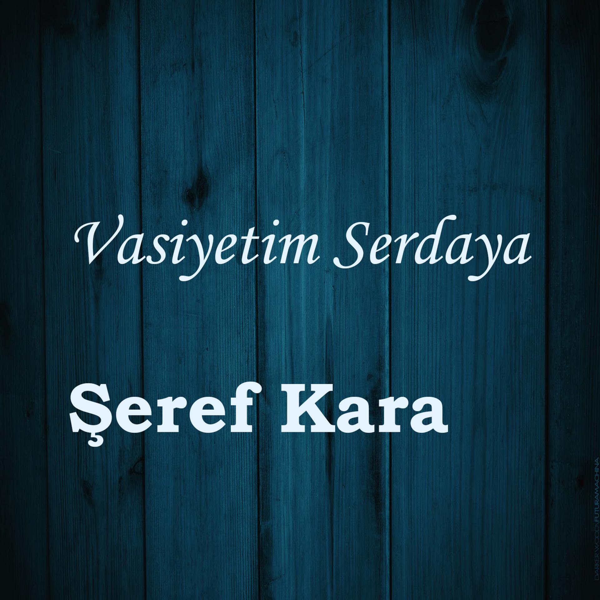 Постер альбома Vasiyetim Serdaya