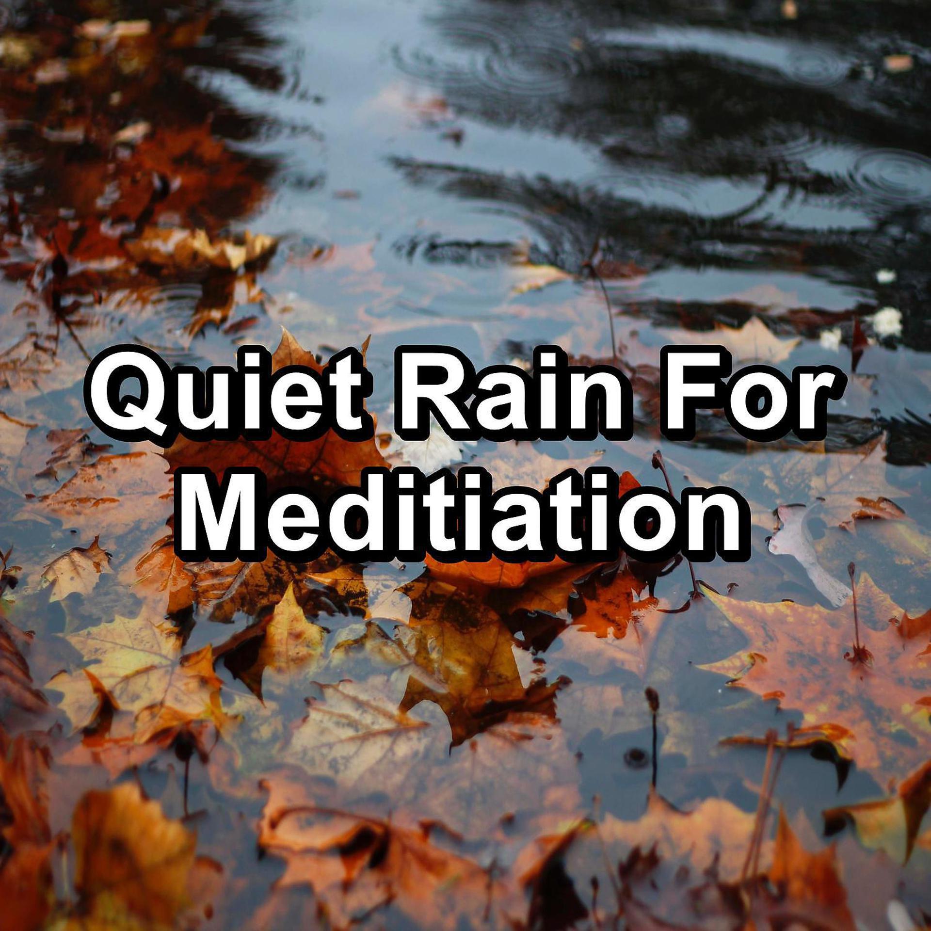 Постер альбома Quiet Rain For Meditiation