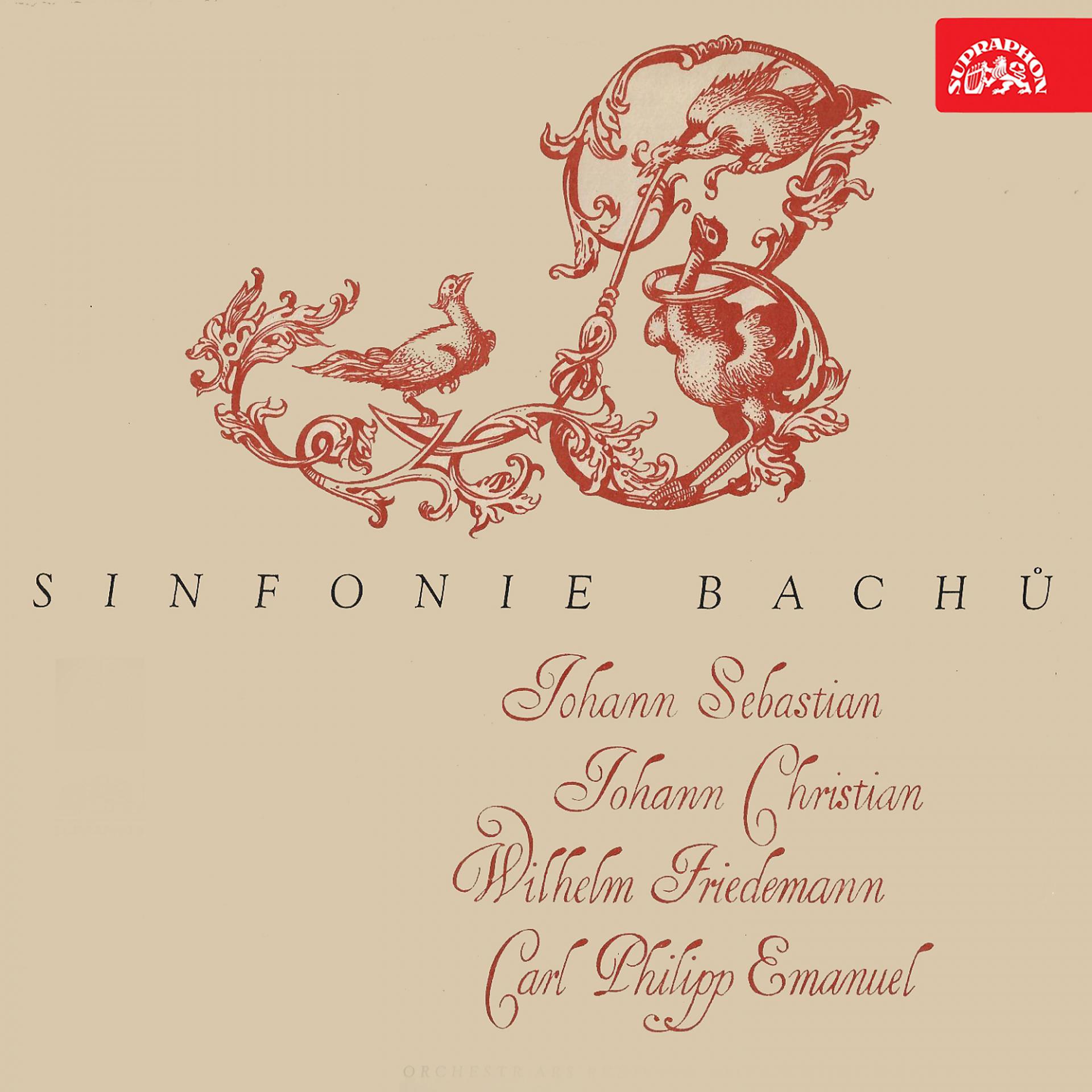 Постер альбома Sinfonie Bachů