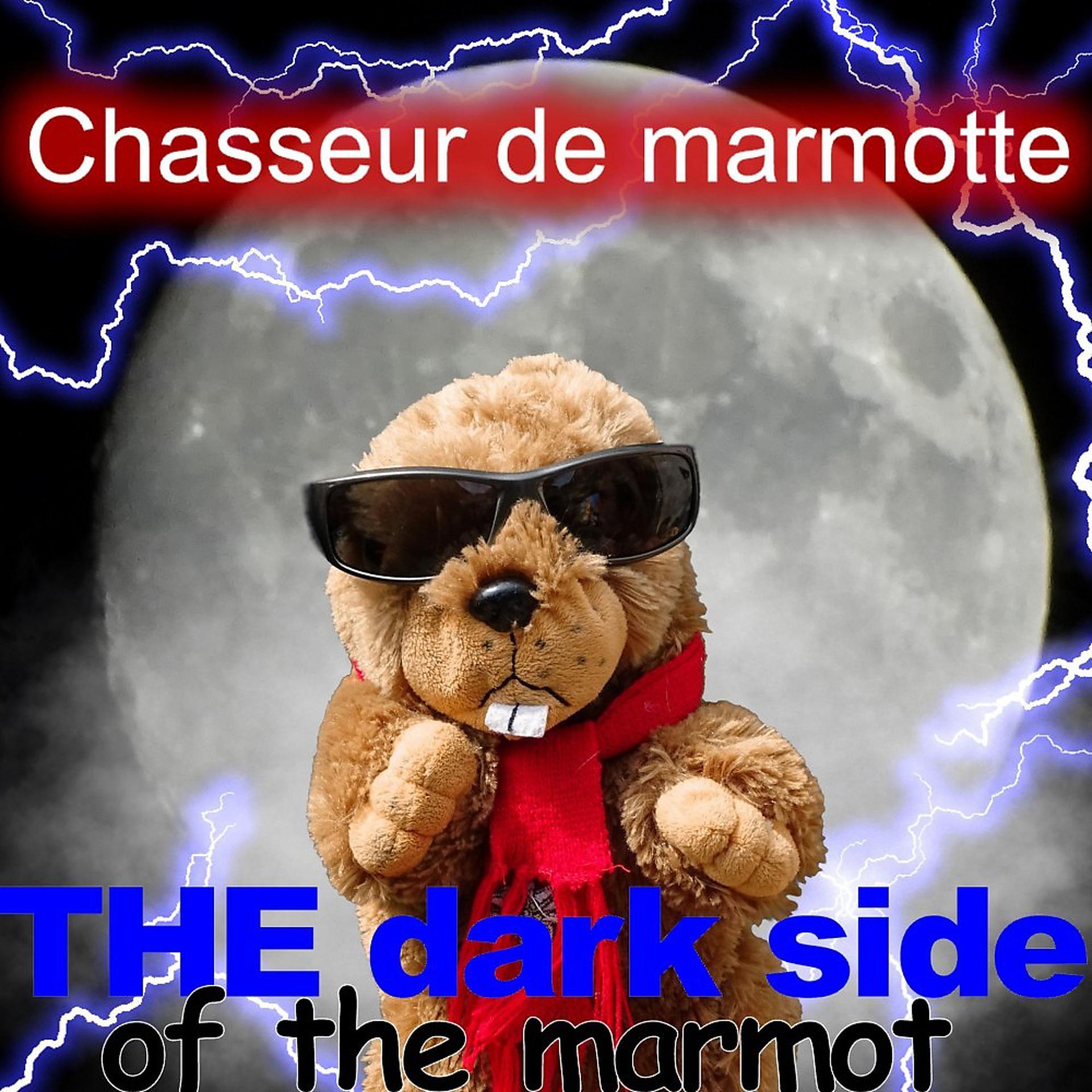Постер альбома The Dark Side of the Marmot