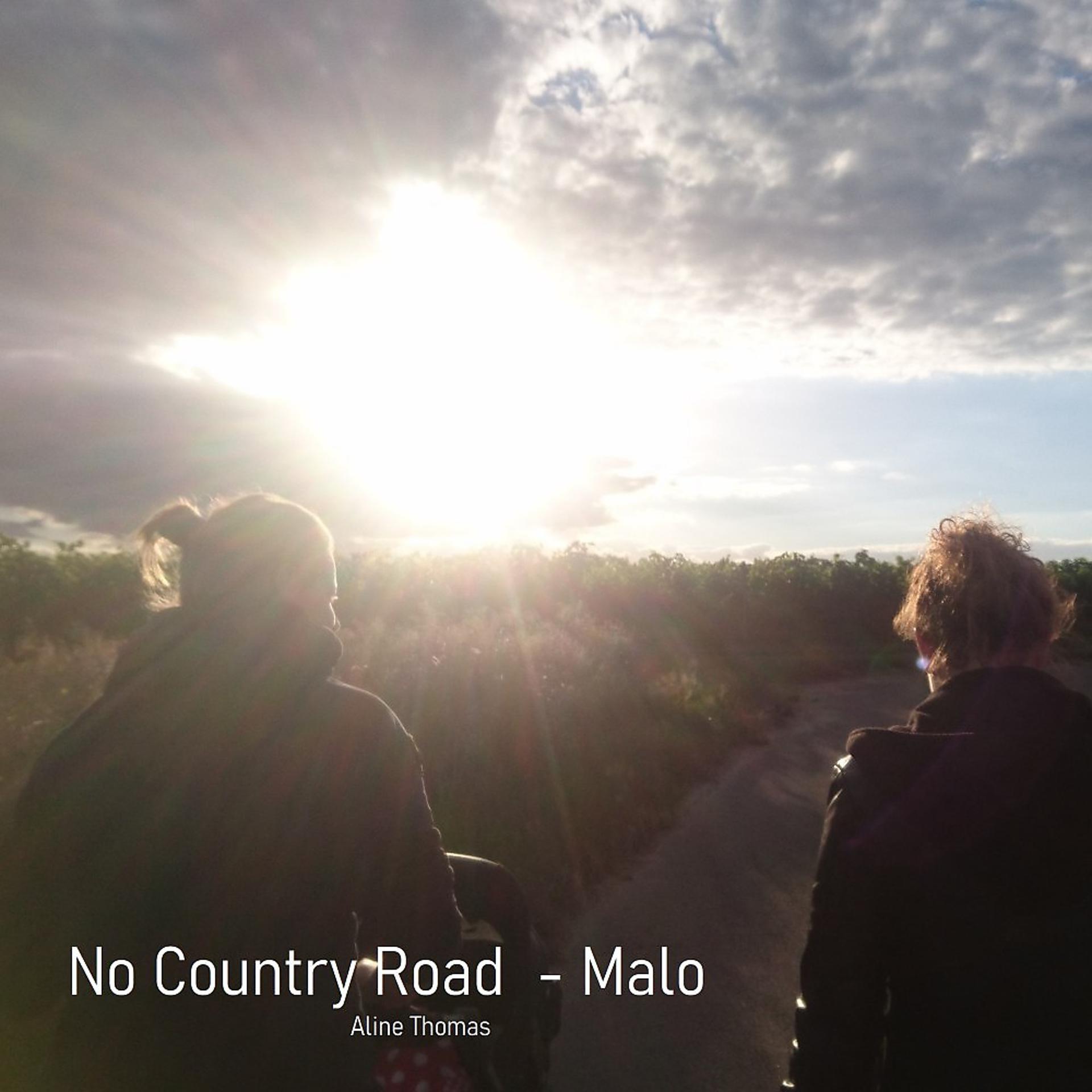Постер альбома No Country Road