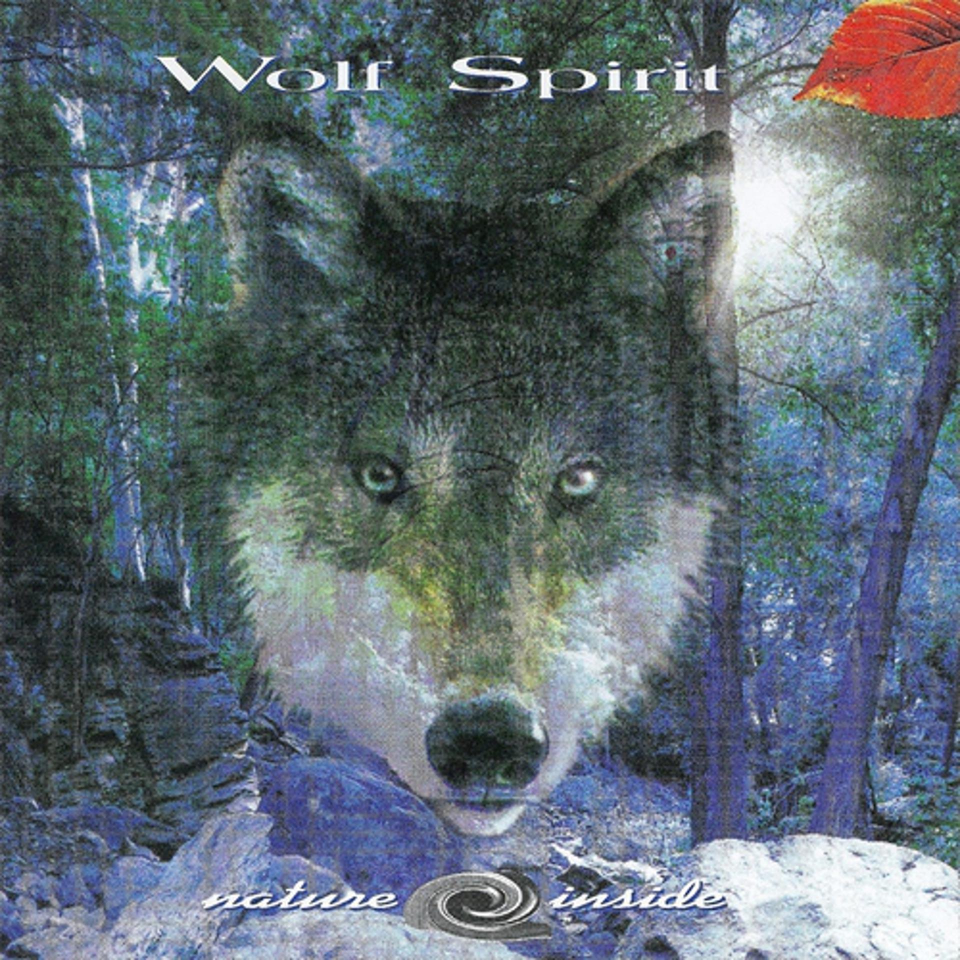 Постер альбома Wolf Spirit