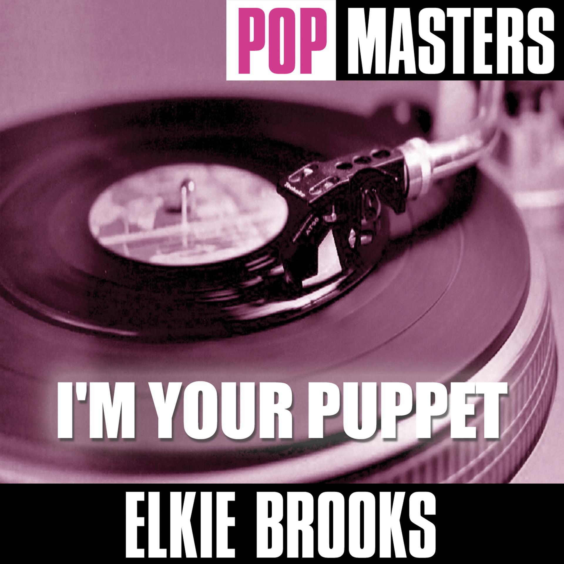 Постер альбома Pop Masters: I'm Your Puppet