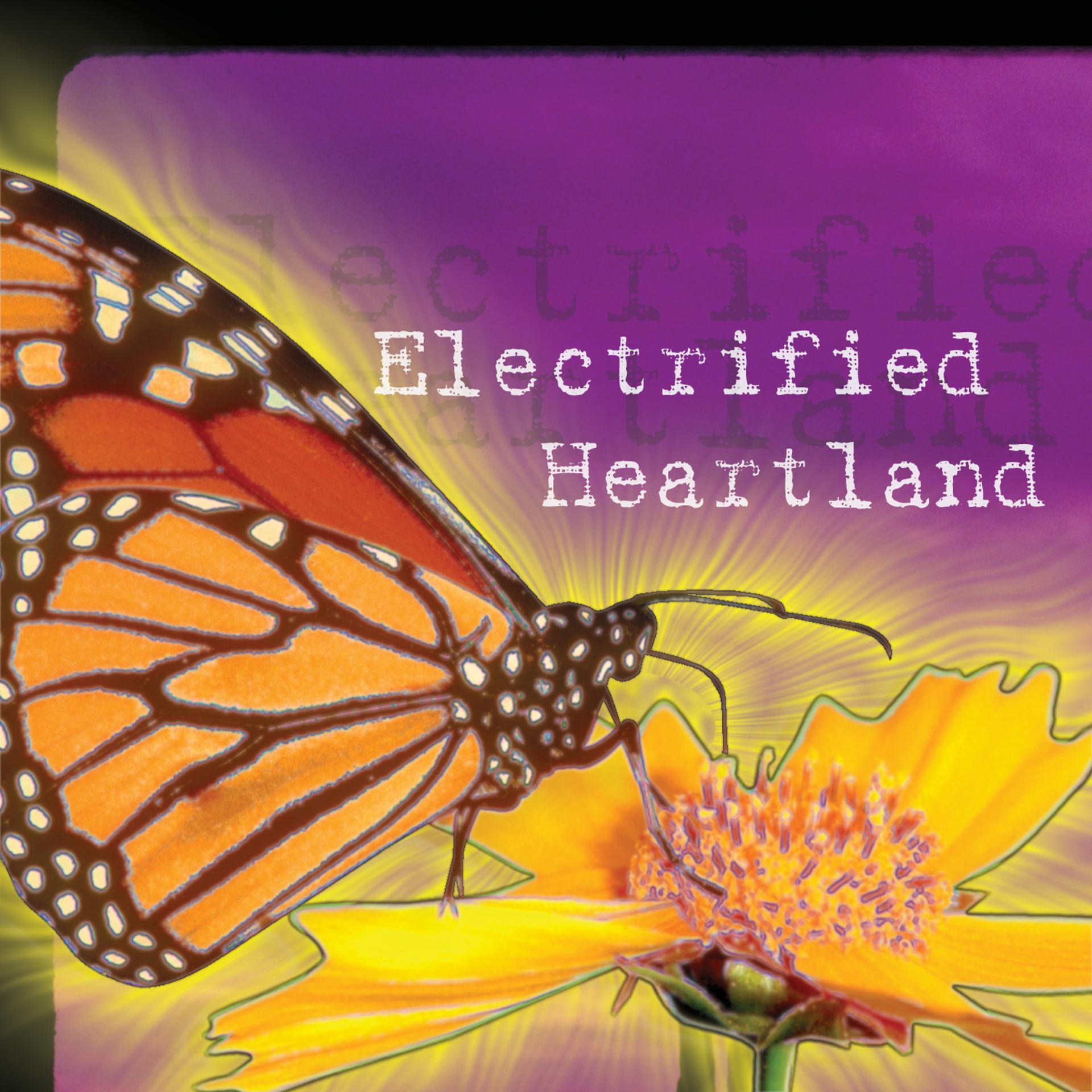 Постер альбома Electrified Heartland