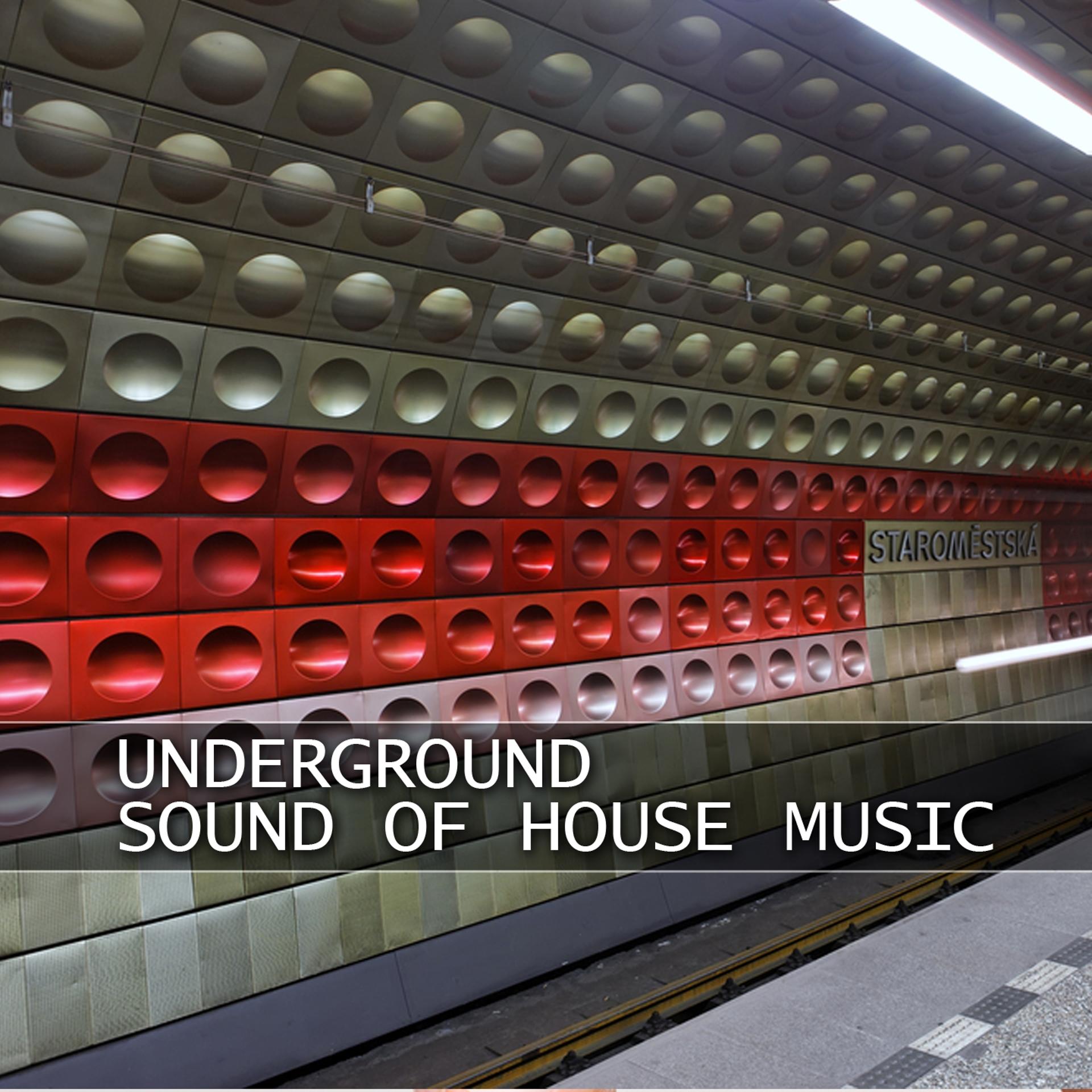 Постер альбома Underground Sound of House Music
