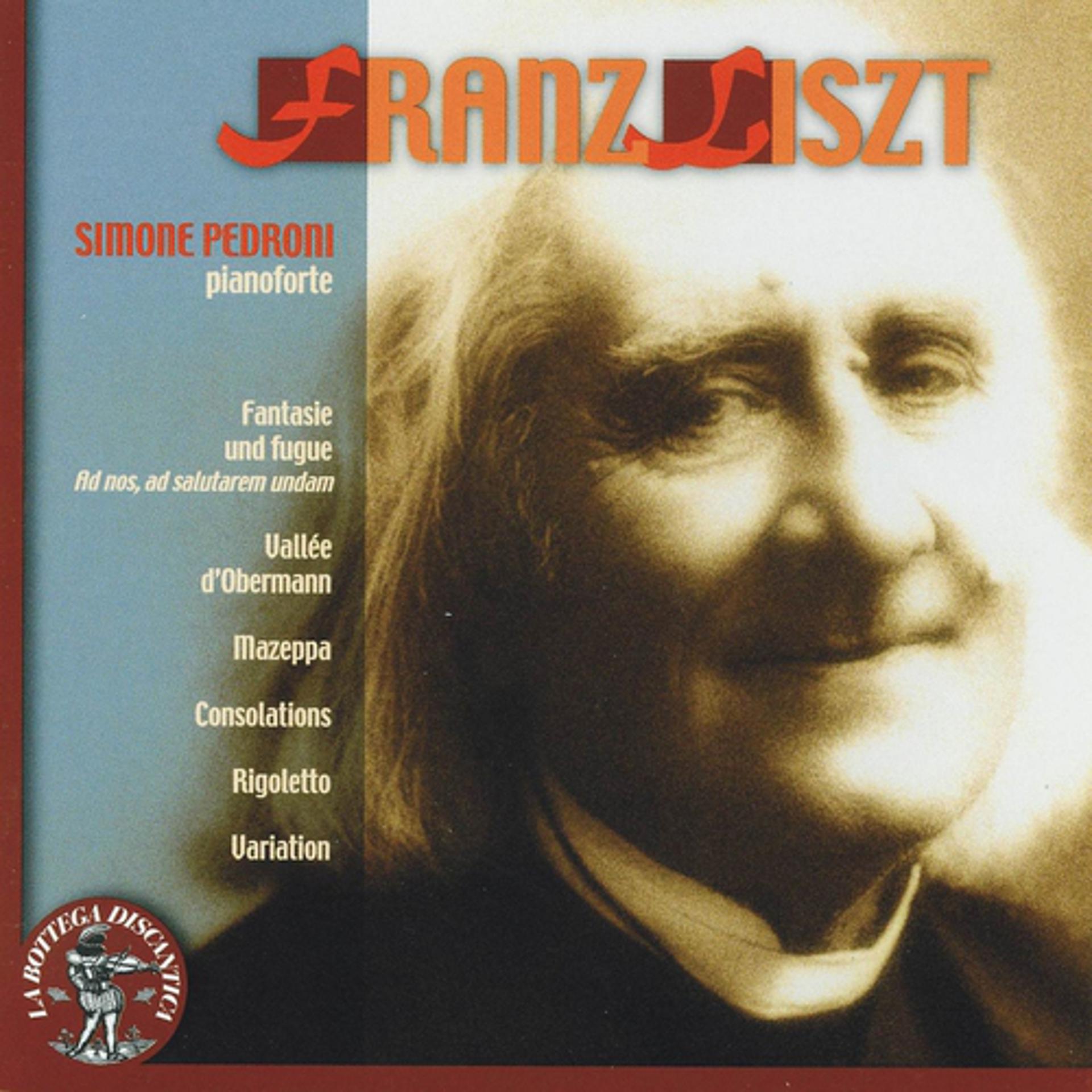 Постер альбома Franz Liszt: Fantasie und fugue, Vallée d'Obermann, Mazeppa, Consolations, Rigoletto & Variation