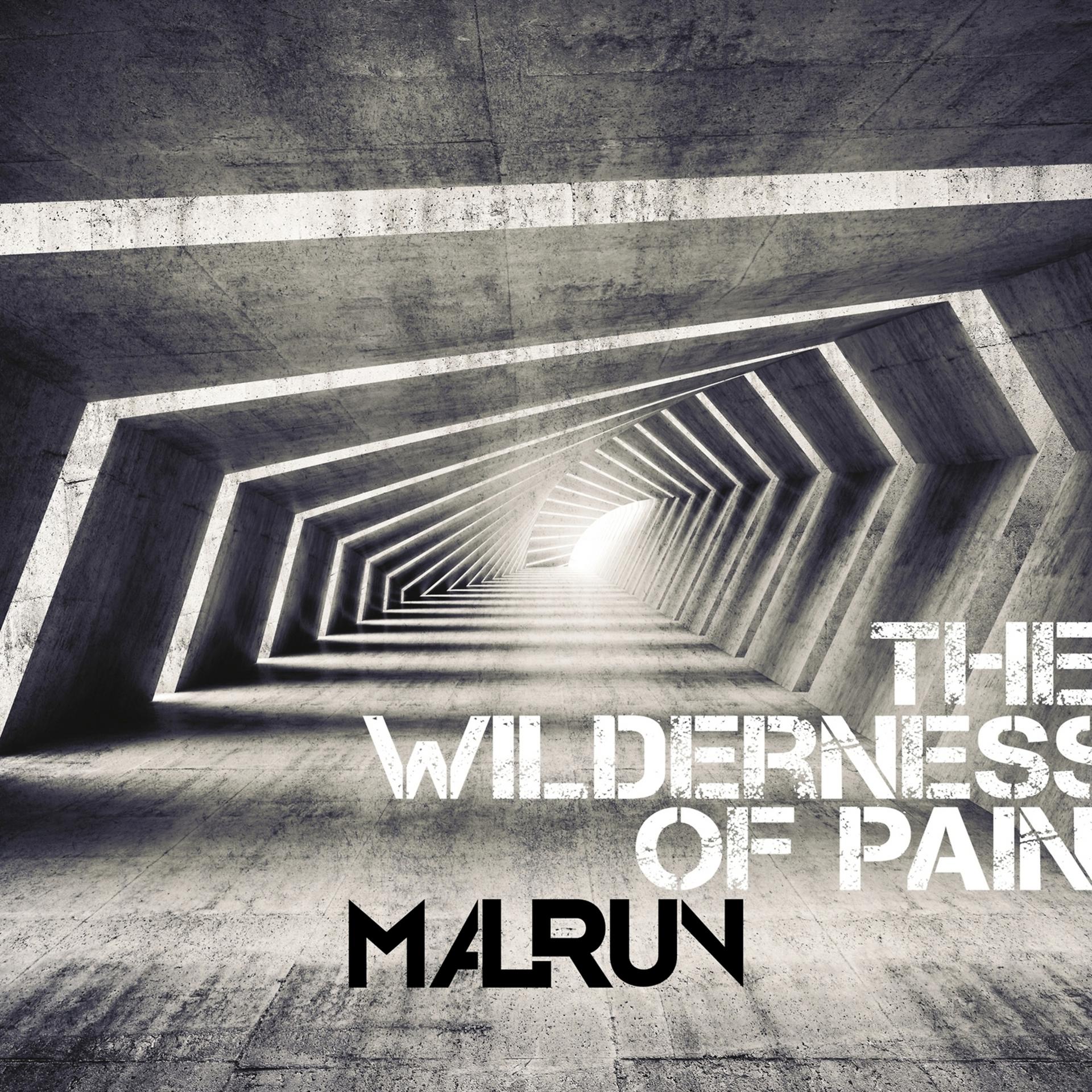 Постер альбома The Wilderness of Pain