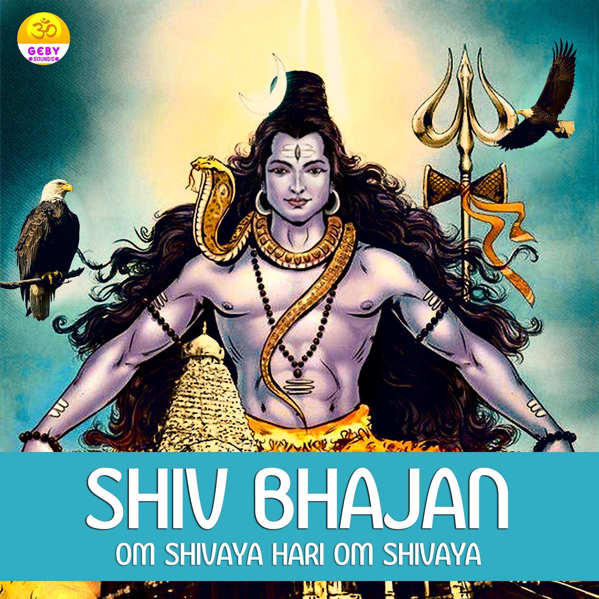 Постер альбома Shiv Bhajan (Om Shivaya Hari Om Shivaya) - Single