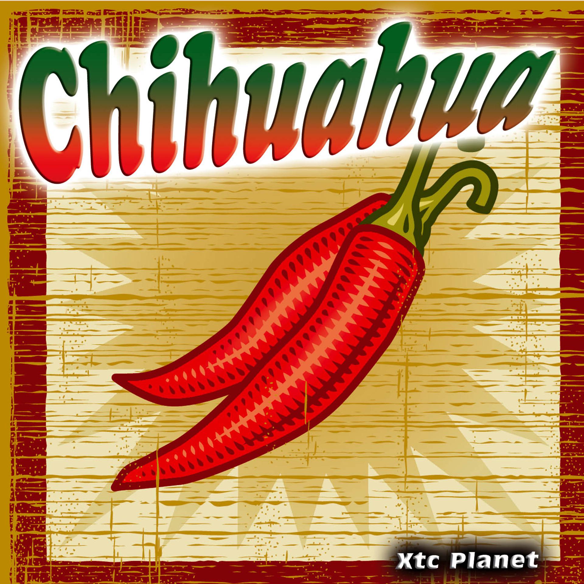 Постер альбома Chihuahua - Single