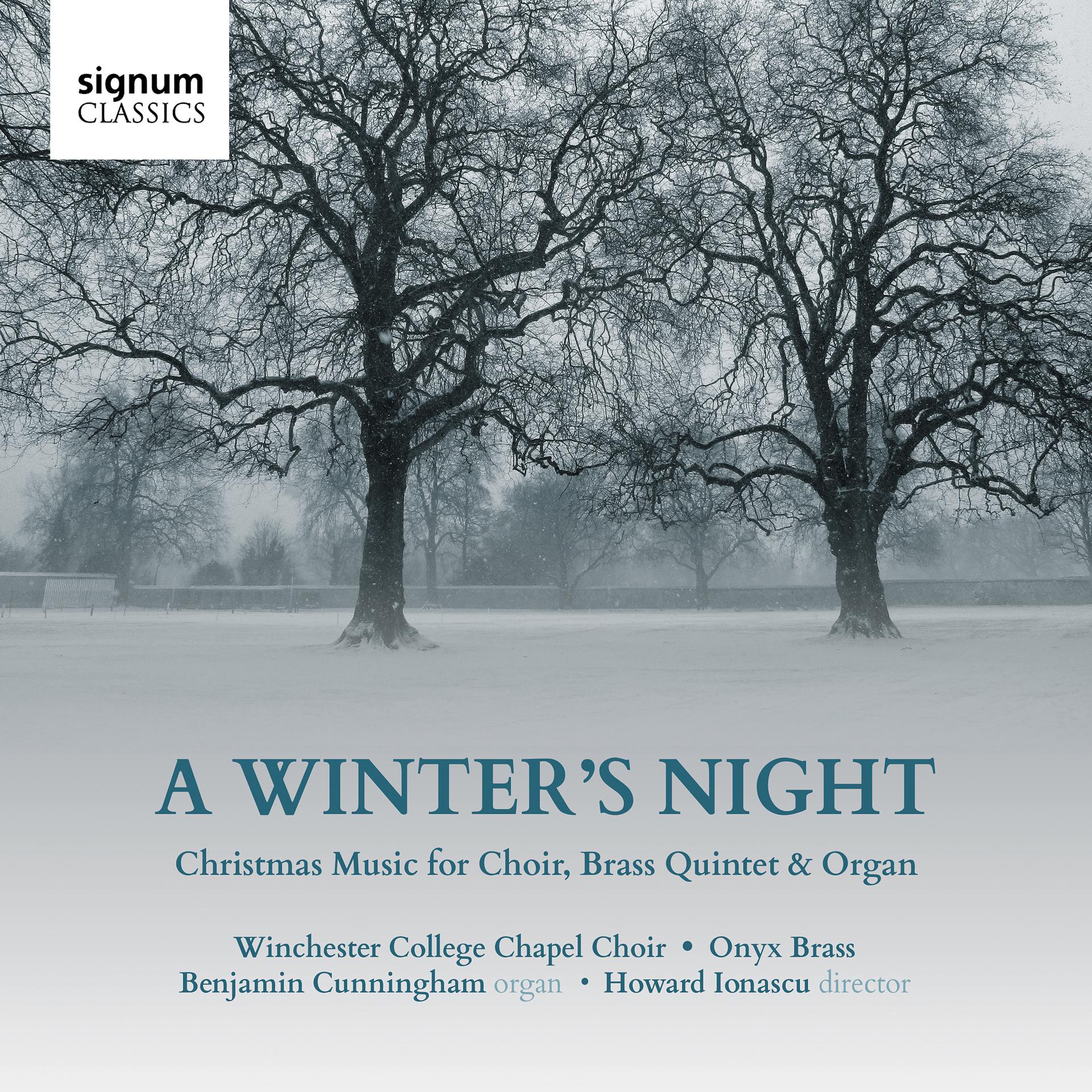 Постер альбома A Winter's Night