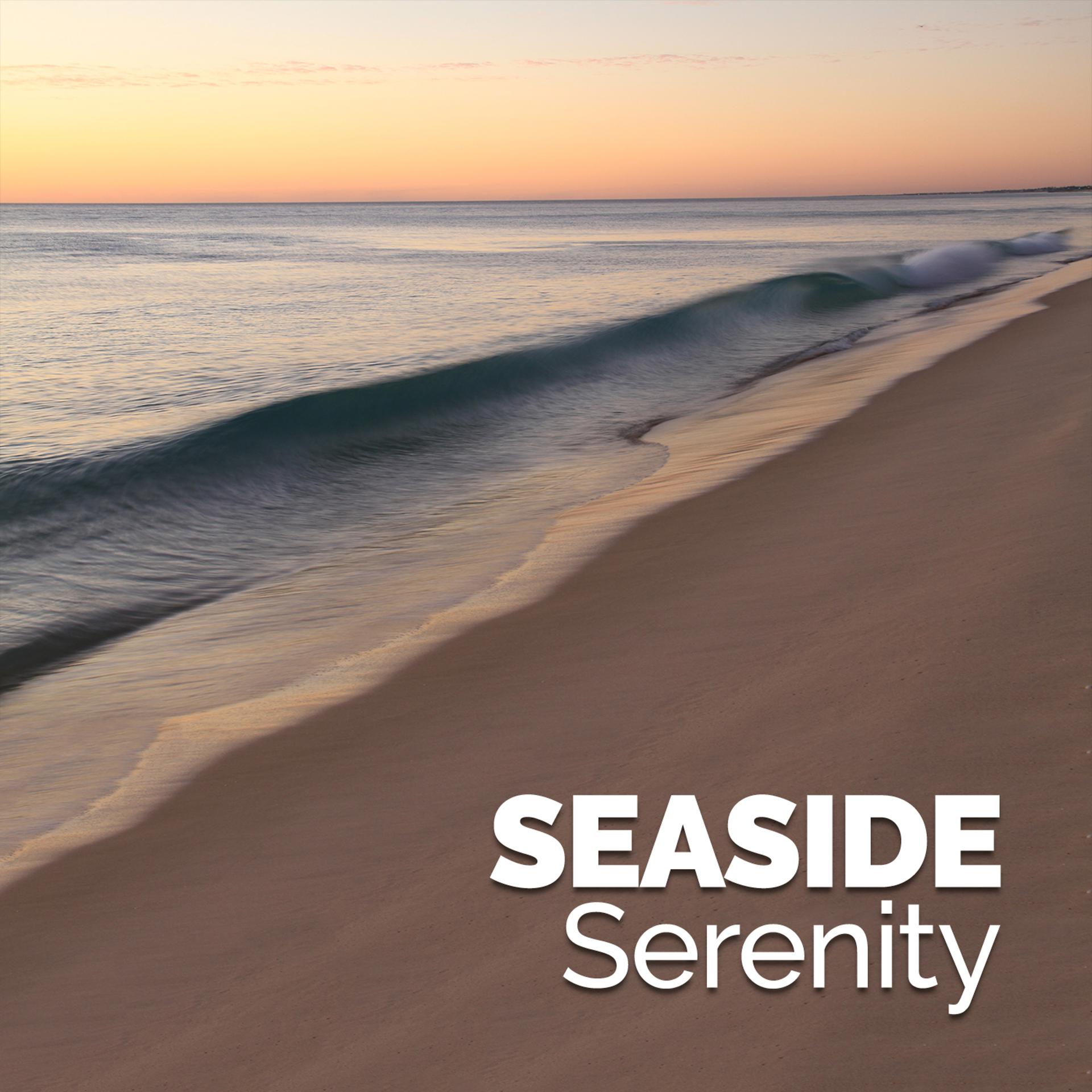 Постер альбома Seaside Serenity