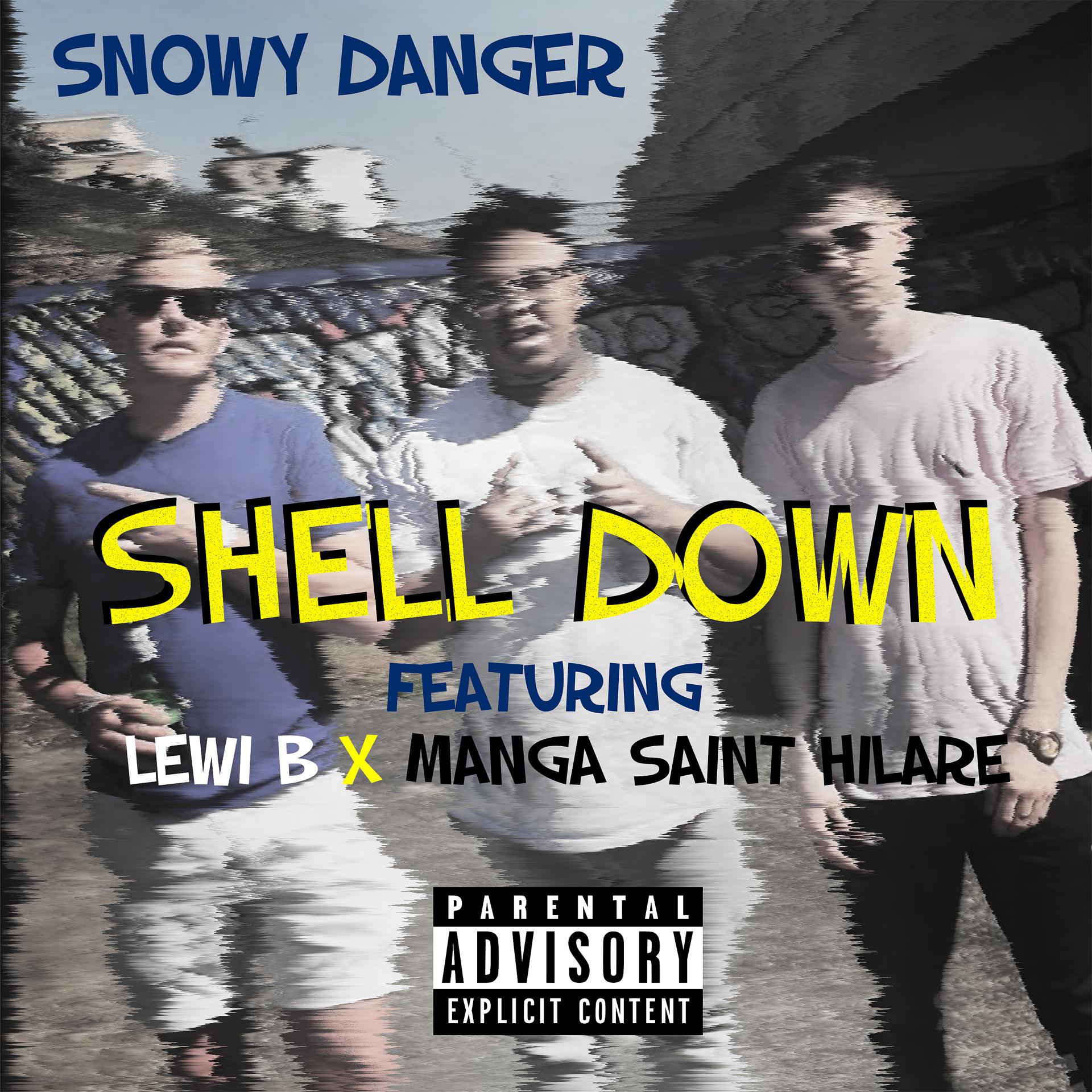 Постер альбома Shell Down