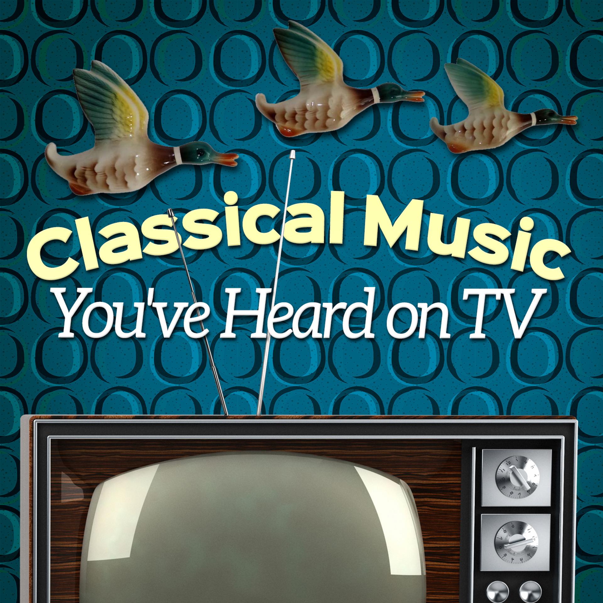 Постер альбома Classical Music You've Heard on Tv