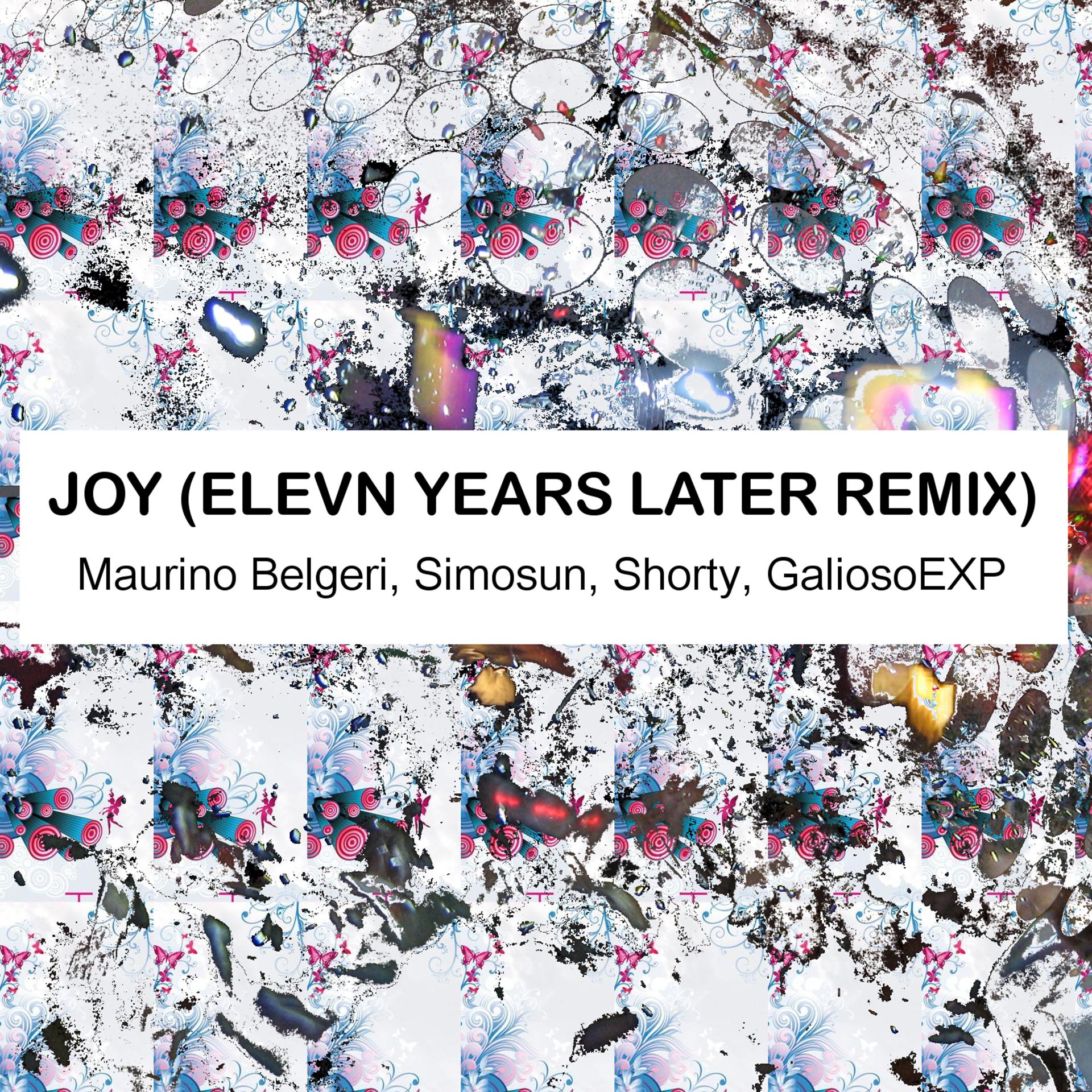 Постер альбома Joy (Elevn Years Later Remix)