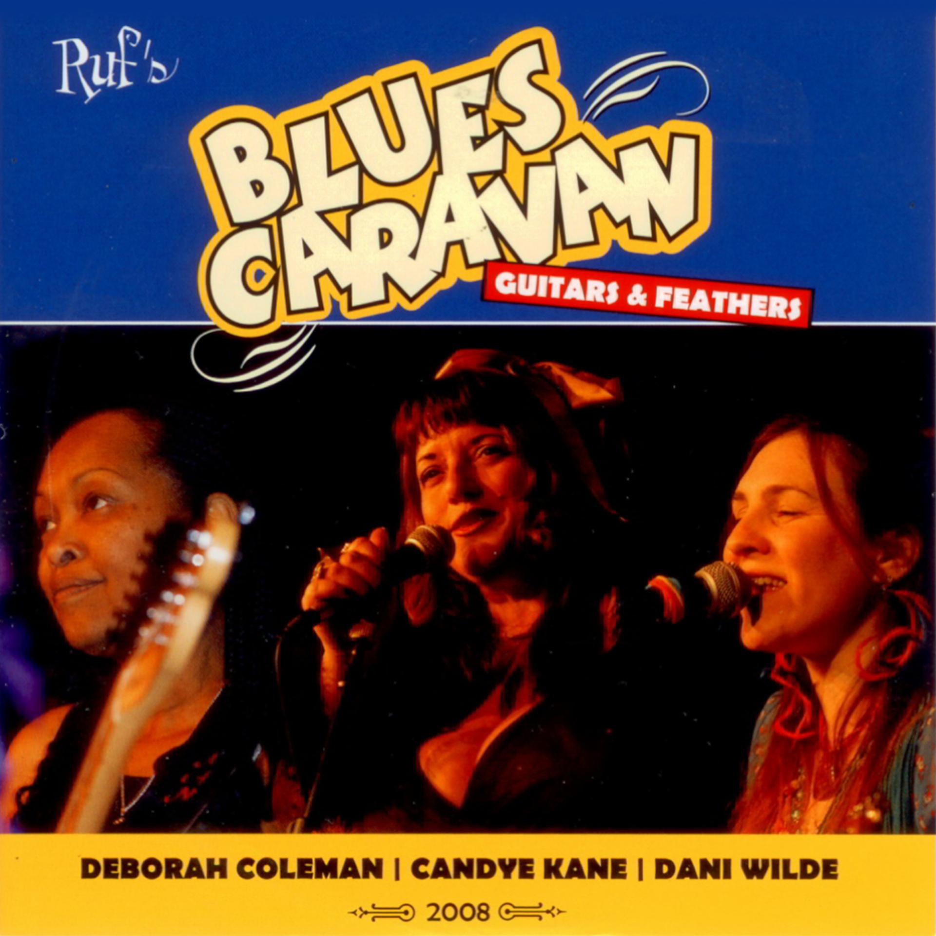 Постер альбома Blues Caravan 2008 - Guitars & Feathers