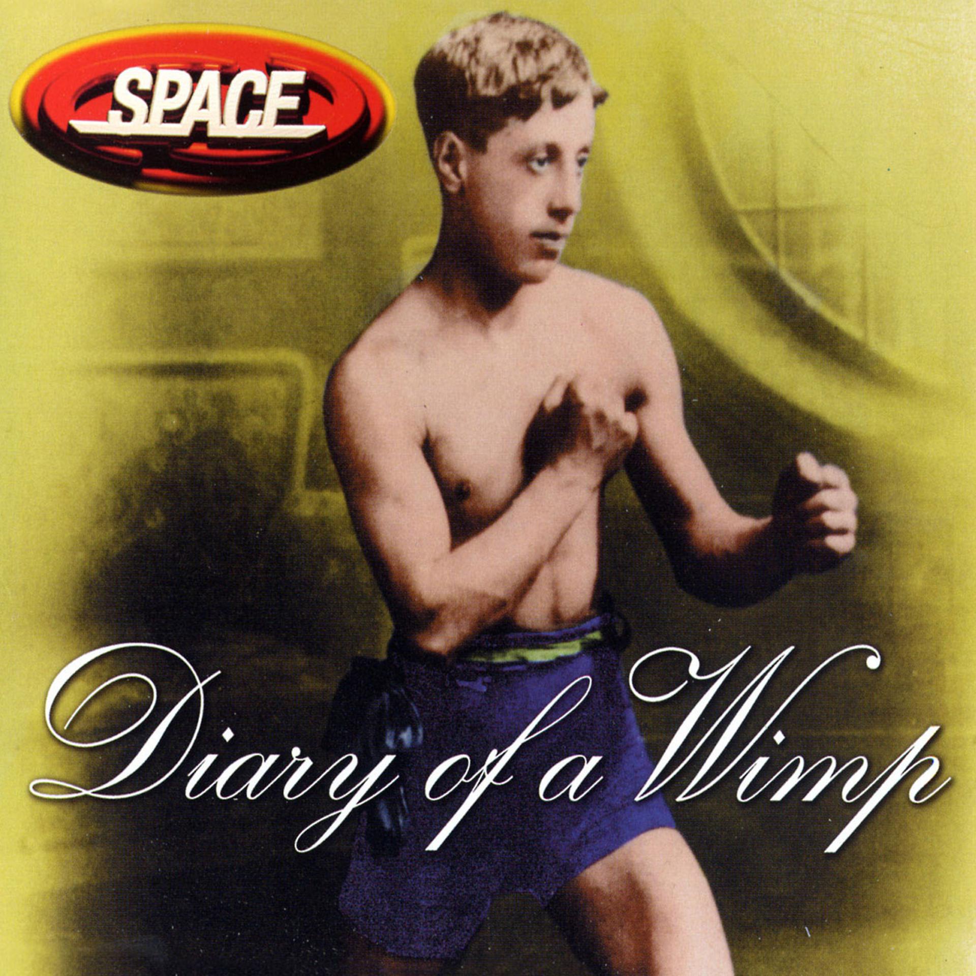 Постер альбома Diary Of A Wimp