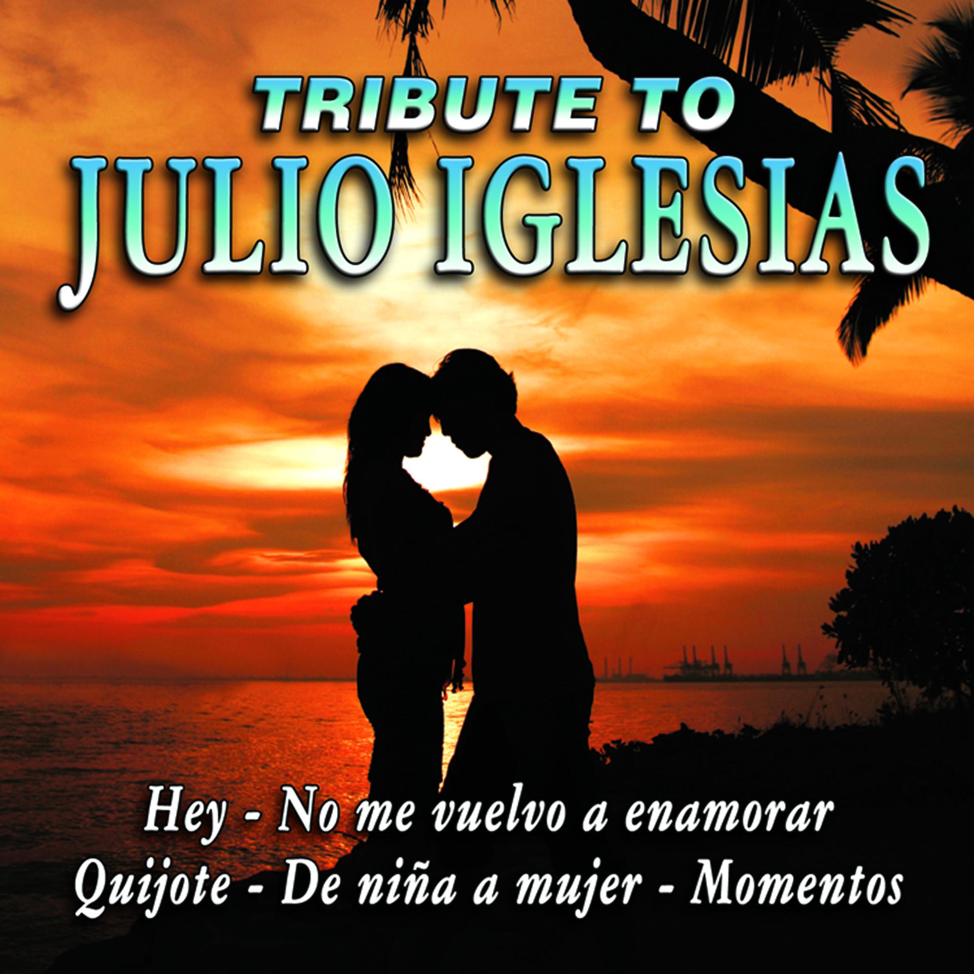Постер альбома Julio Iglesias Tribute