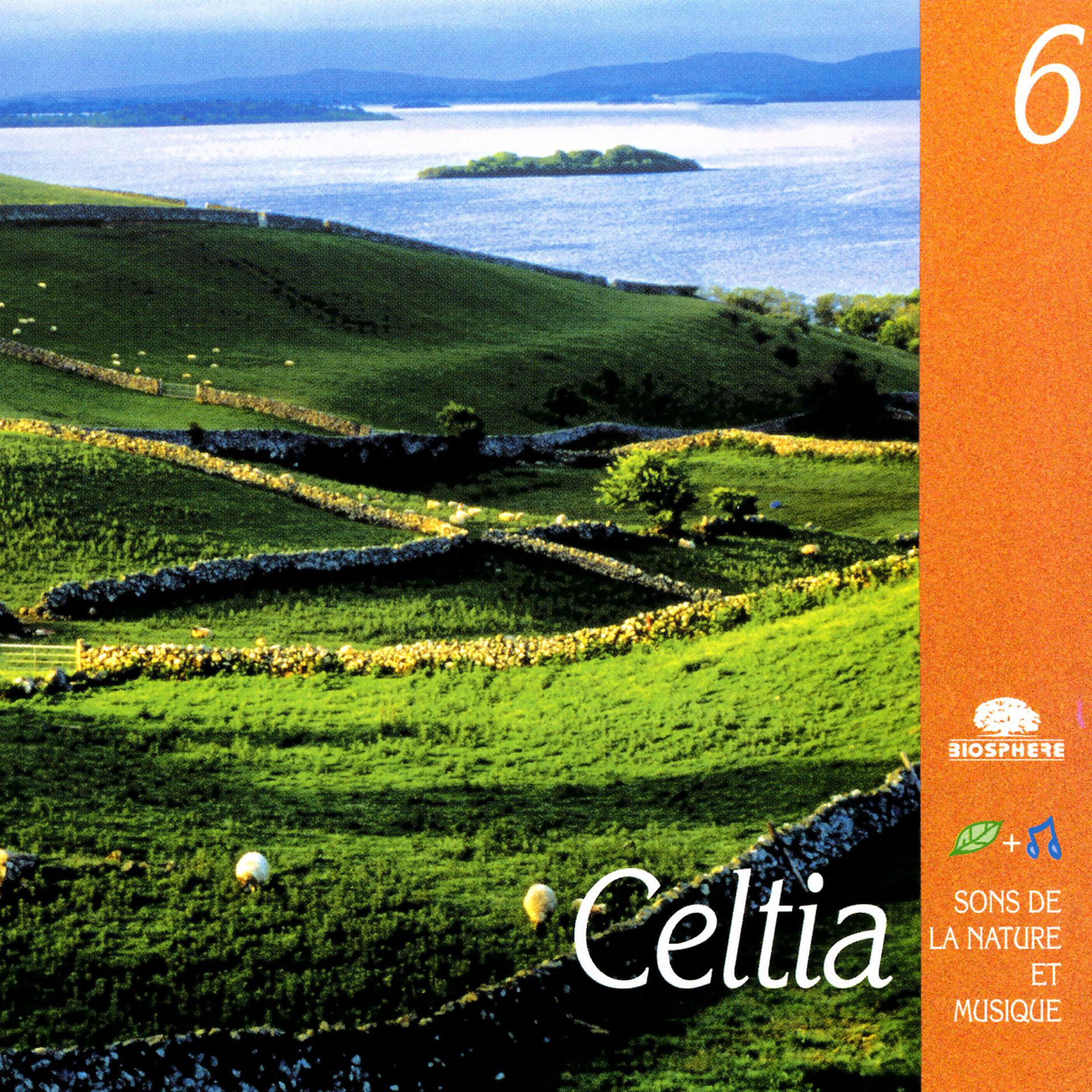 Постер альбома Celtia