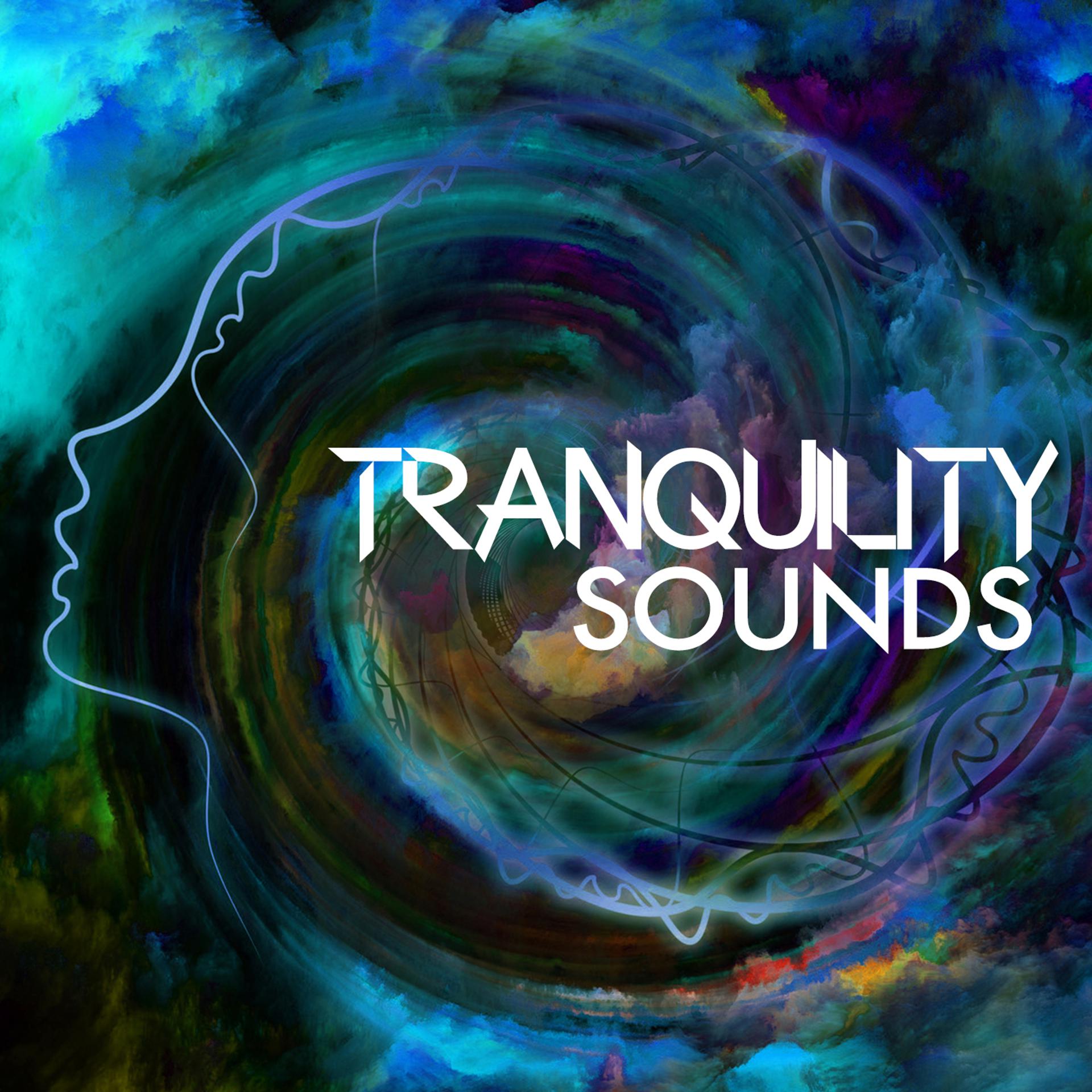 Постер альбома Tranquility Sounds