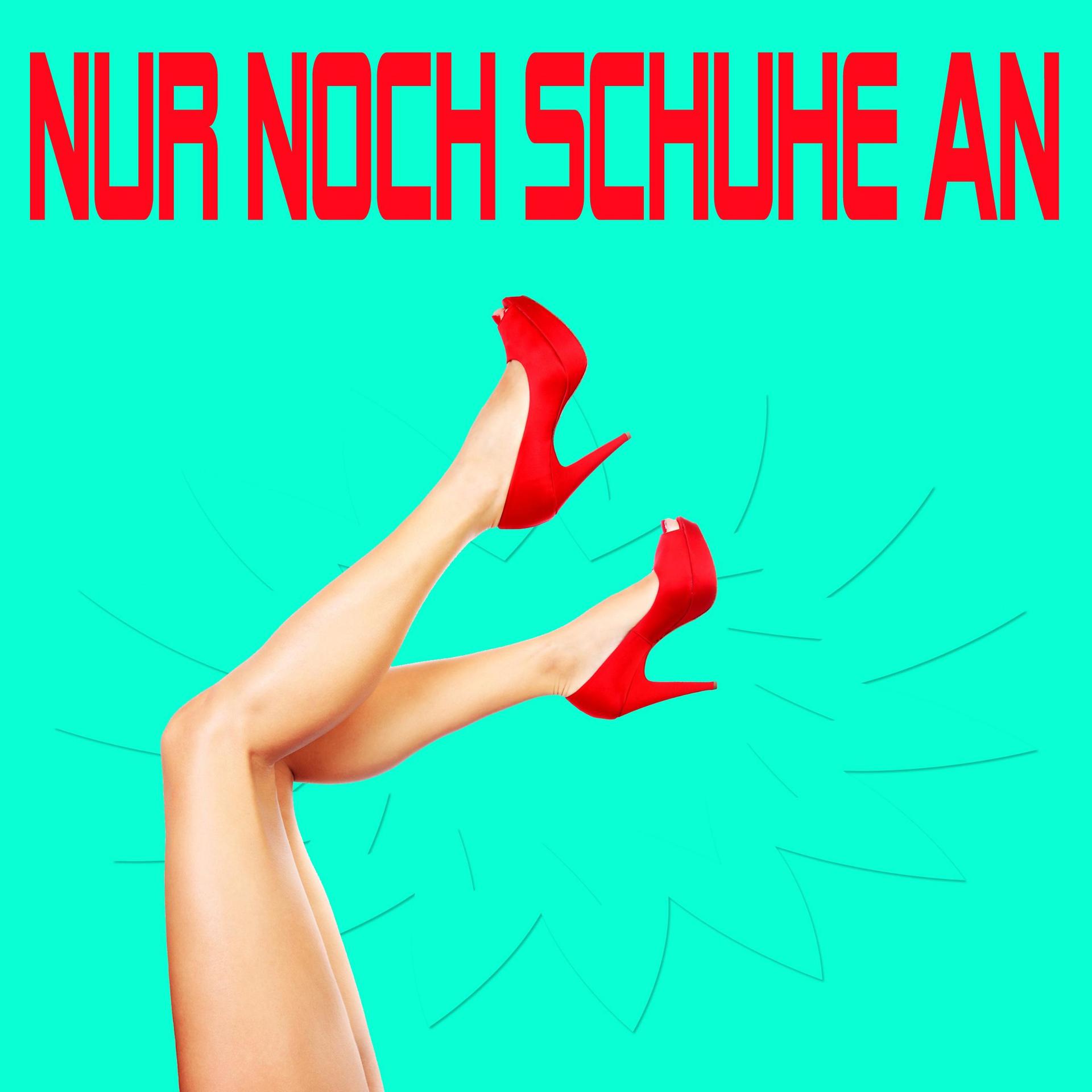 Постер альбома Nur noch Schuhe an