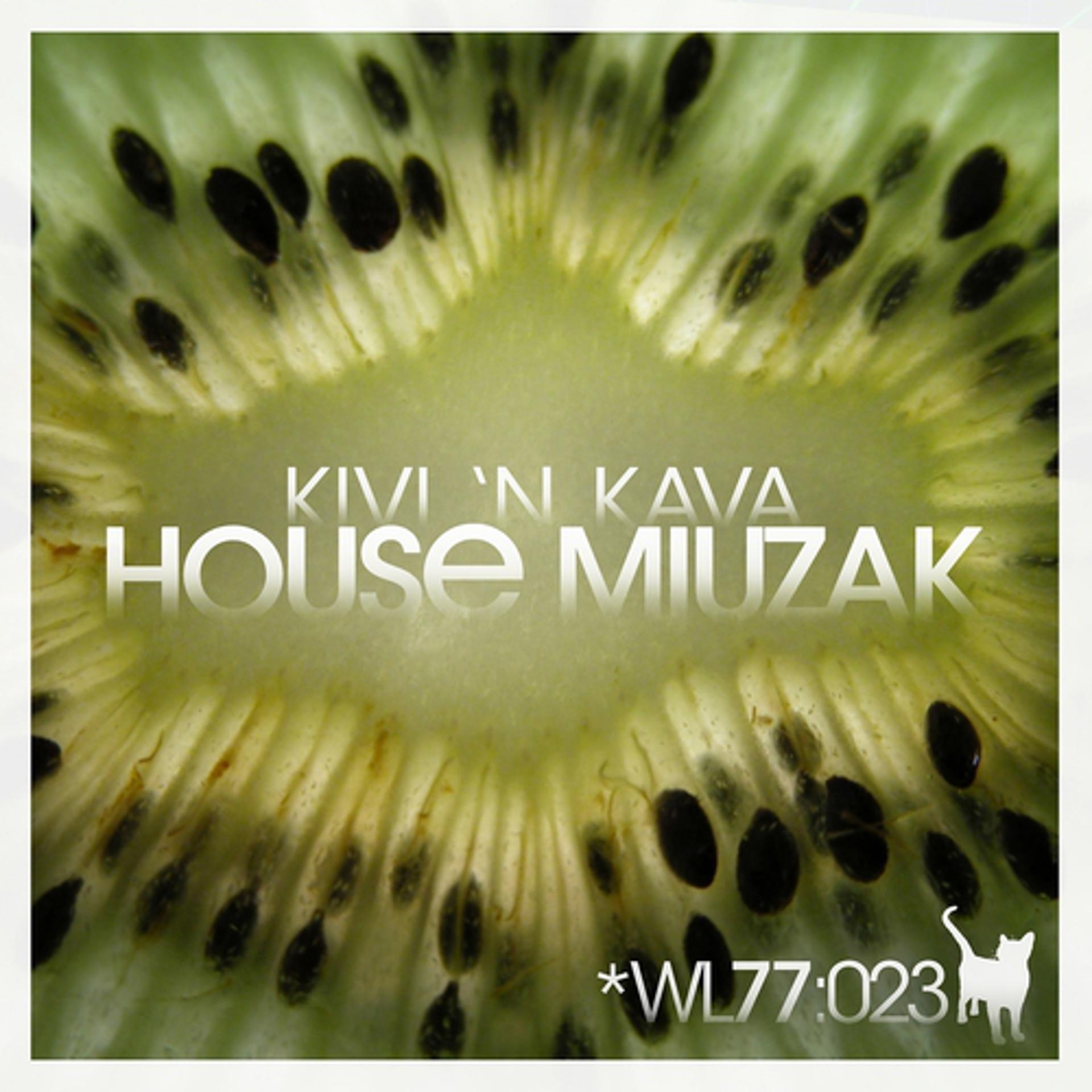 Постер альбома House Miuzak
