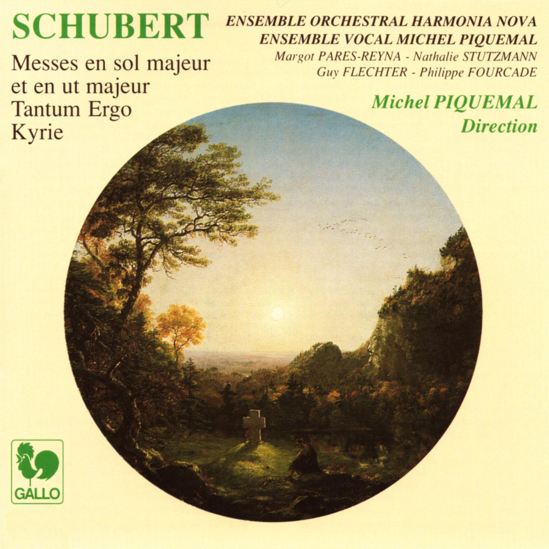 Постер альбома Schubert: Mass No. 2 in G Major, D. 167 - Kyrie in B-Flat Major, D. 45 - Tantum Ergo in C Major, D. 739 - Mass No. 4 in C Major, D. 452