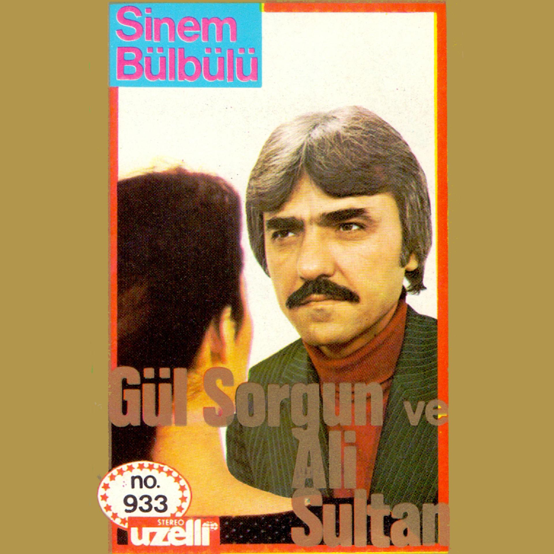 Постер альбома Sinem Bülbülü