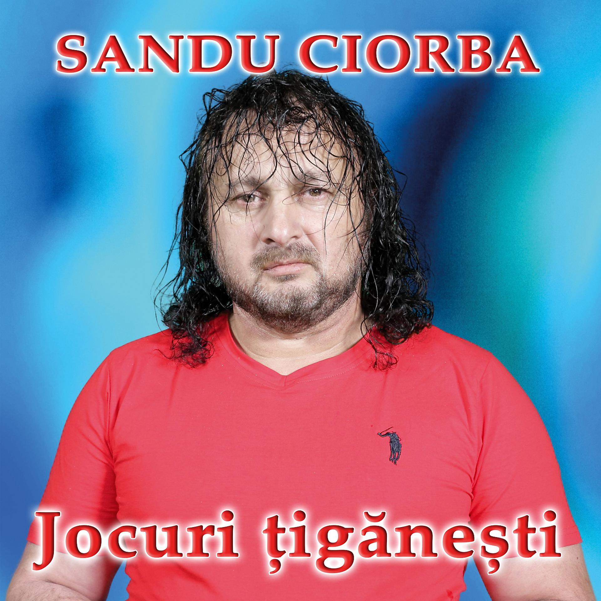 Постер альбома Jocuri Tiganesti