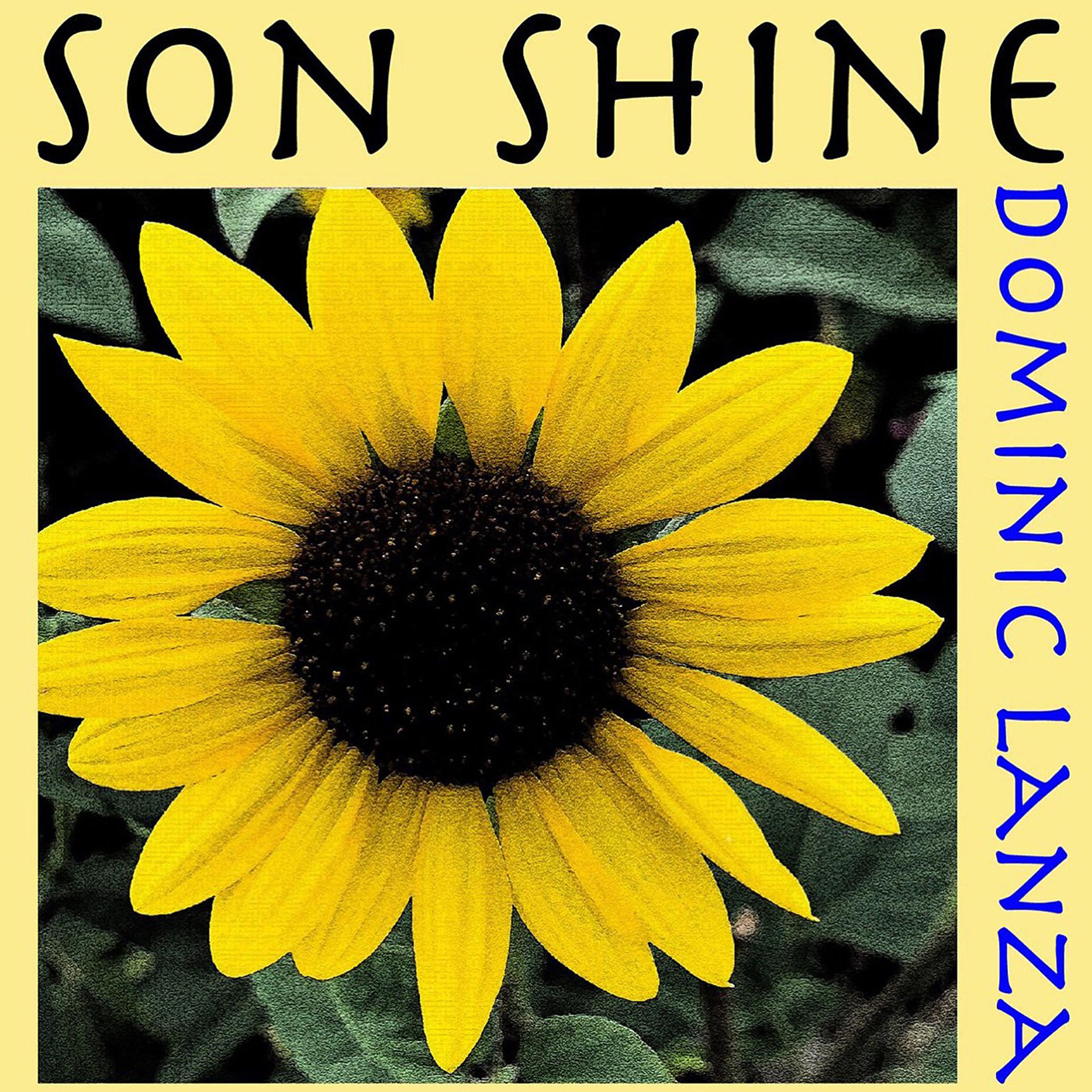 Постер альбома Son Shine
