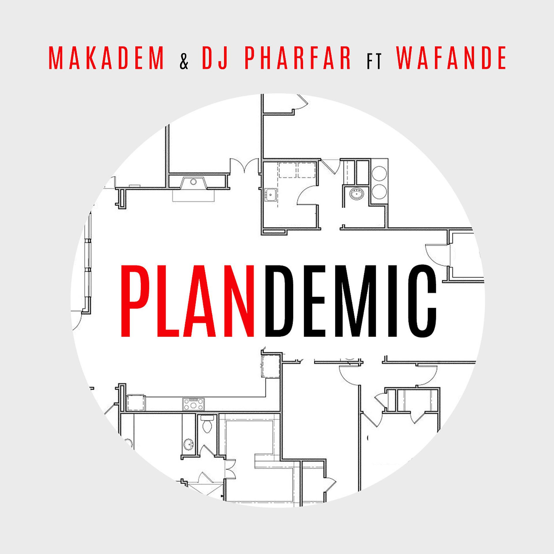 Постер альбома Plandemic