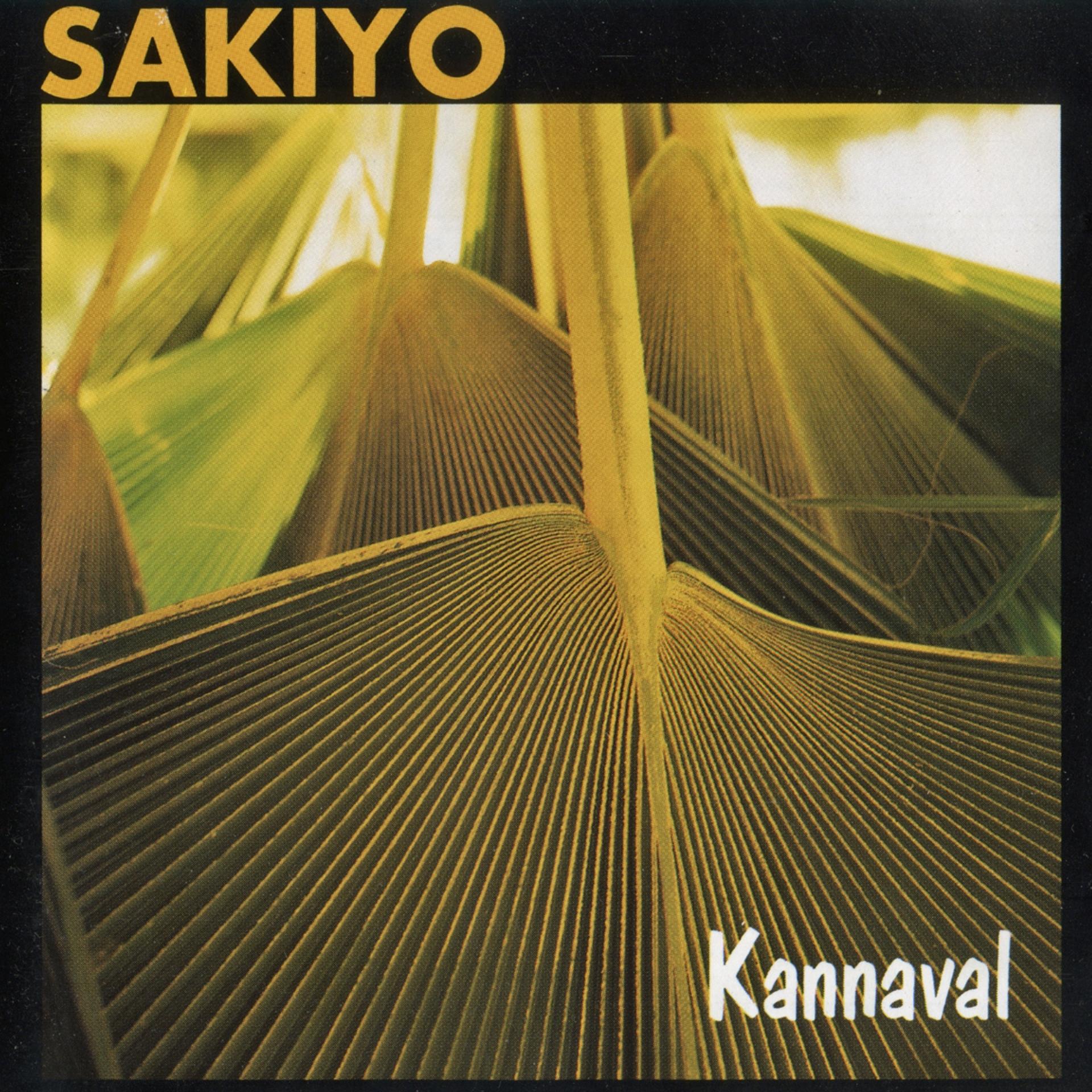 Постер альбома Kannaval