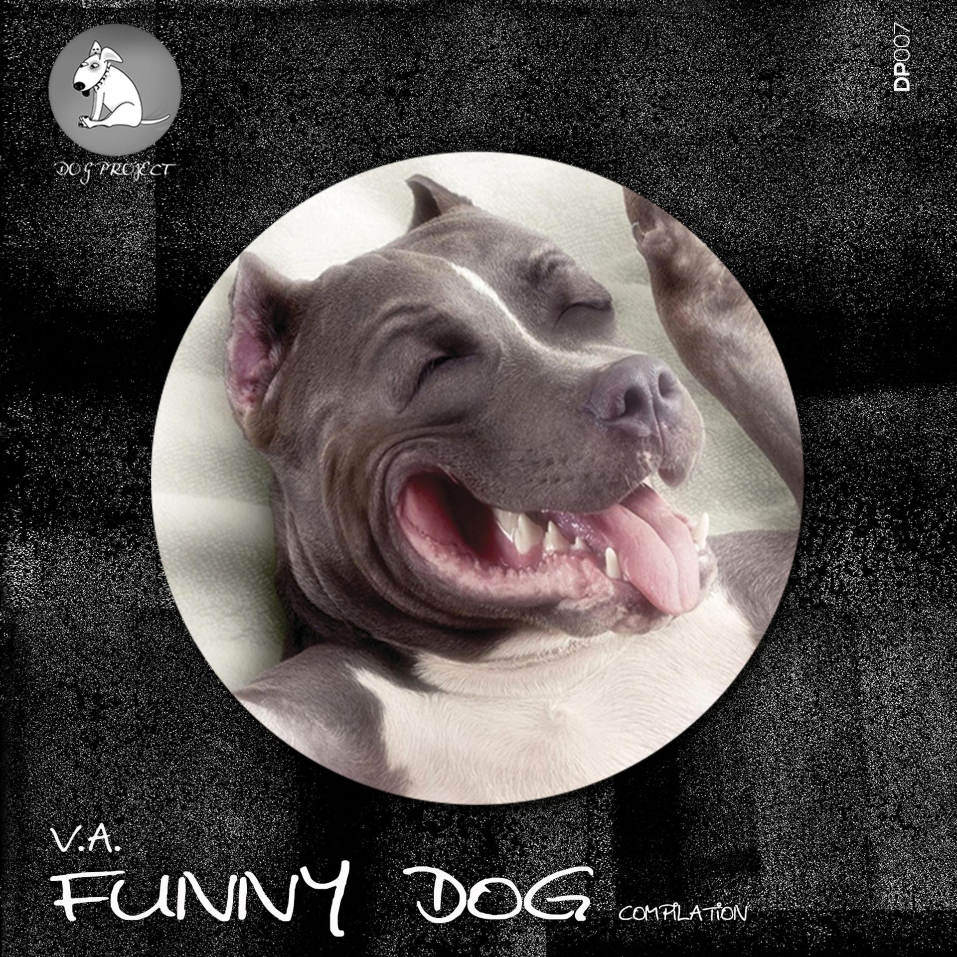 Постер альбома Funny Dog