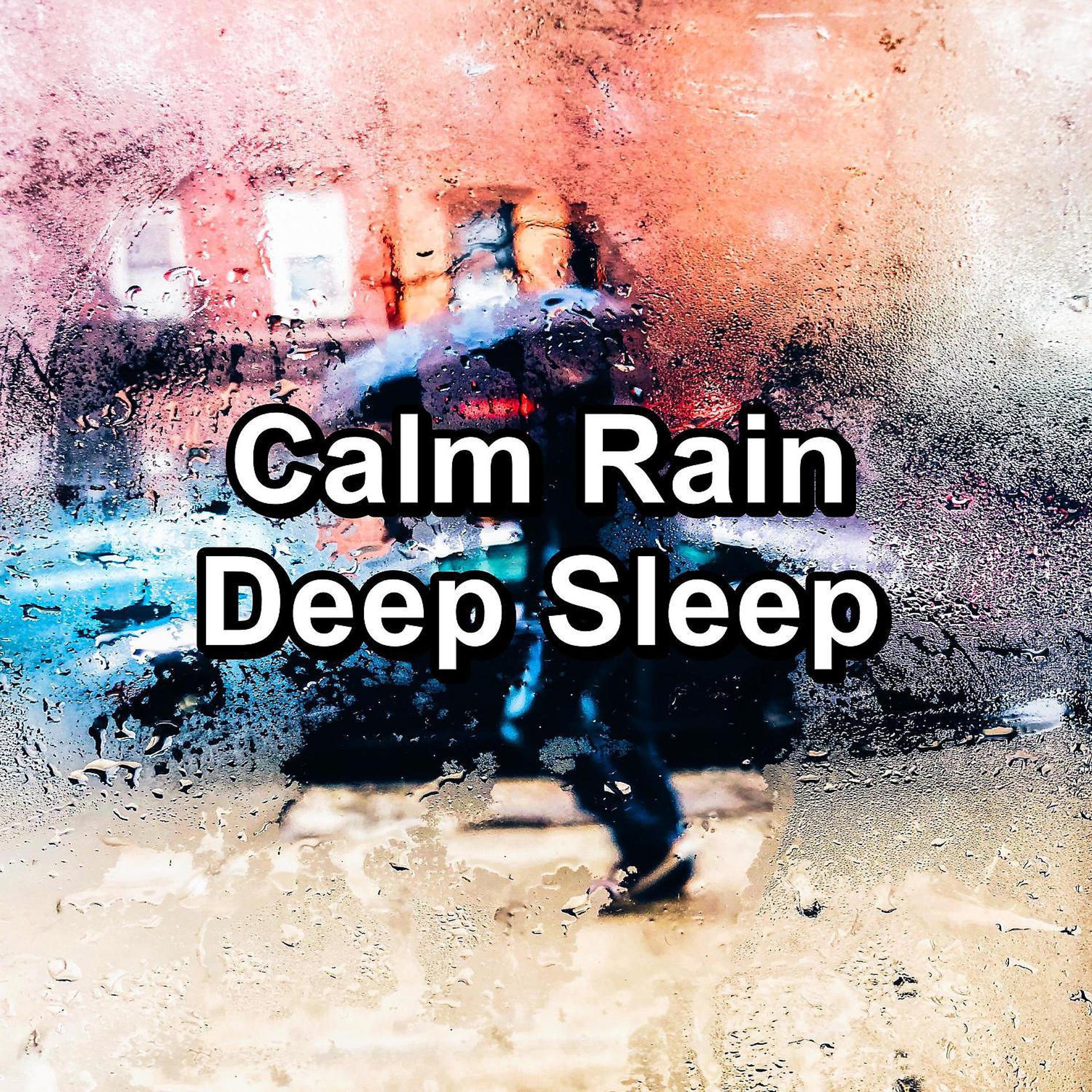 Постер альбома Calm Rain Deep Sleep