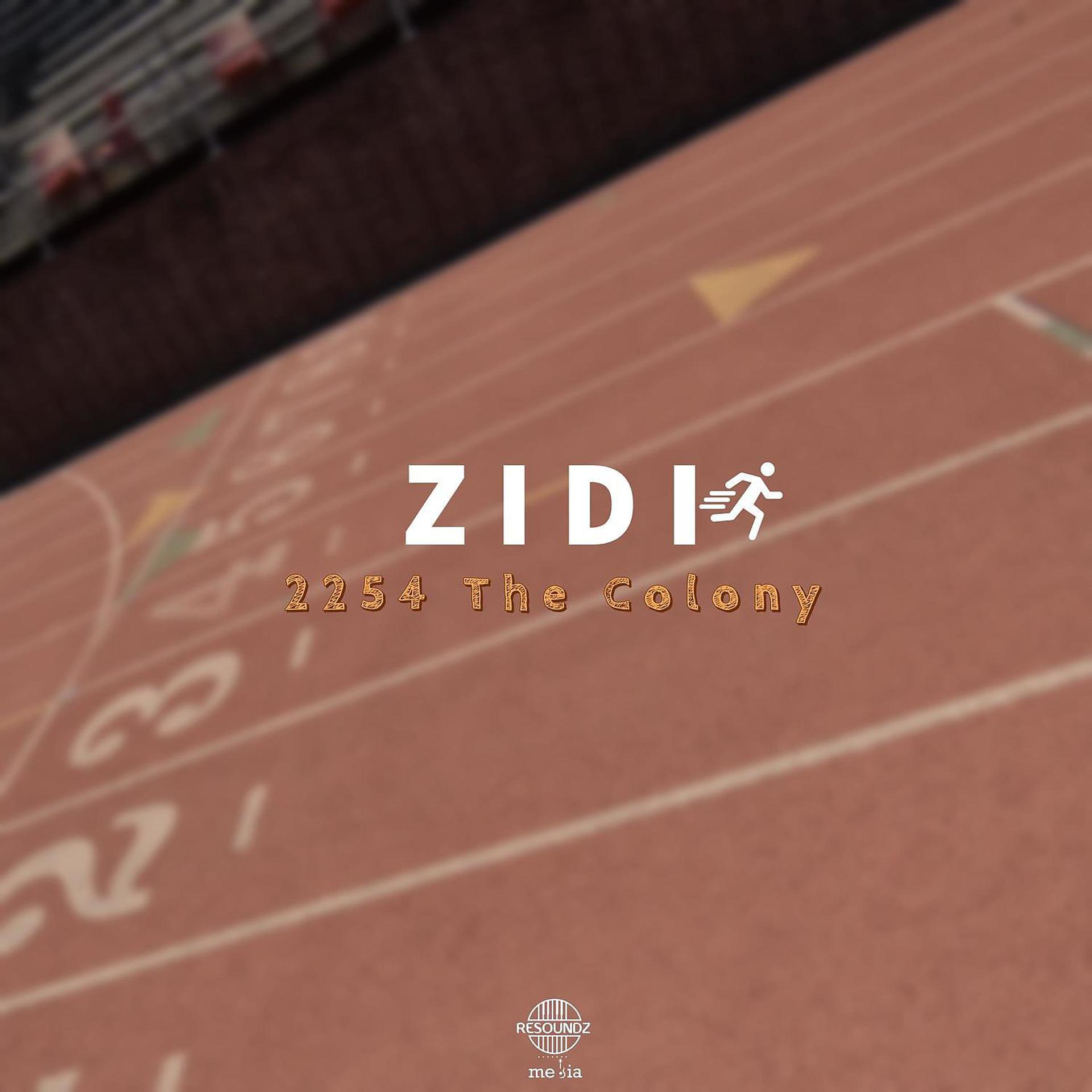 Постер альбома Zidi