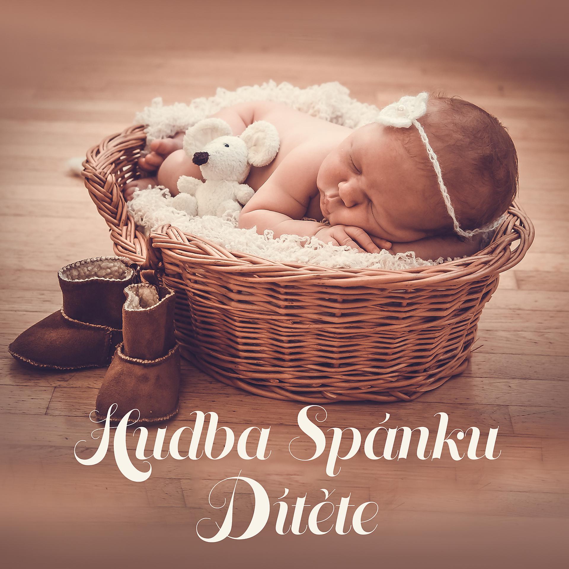 Постер альбома Hudba Spánku Dítěte