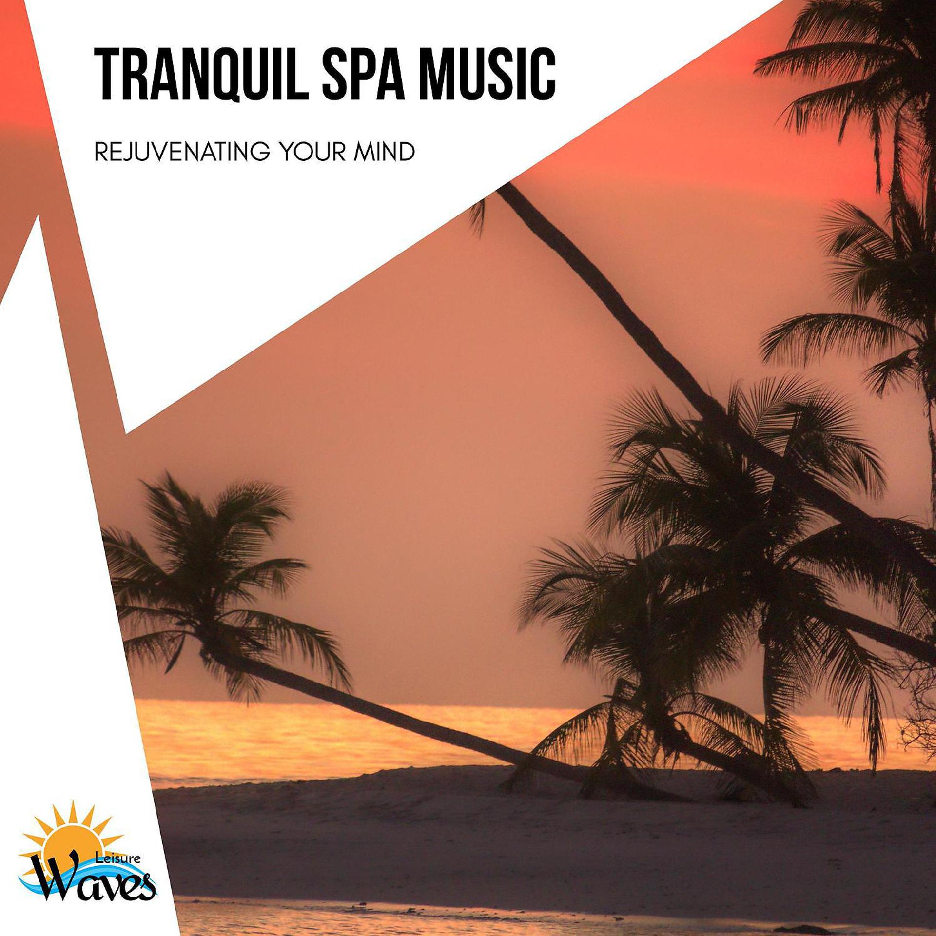 Постер альбома Tranquil Spa Music - Rejuvenating Your Mind