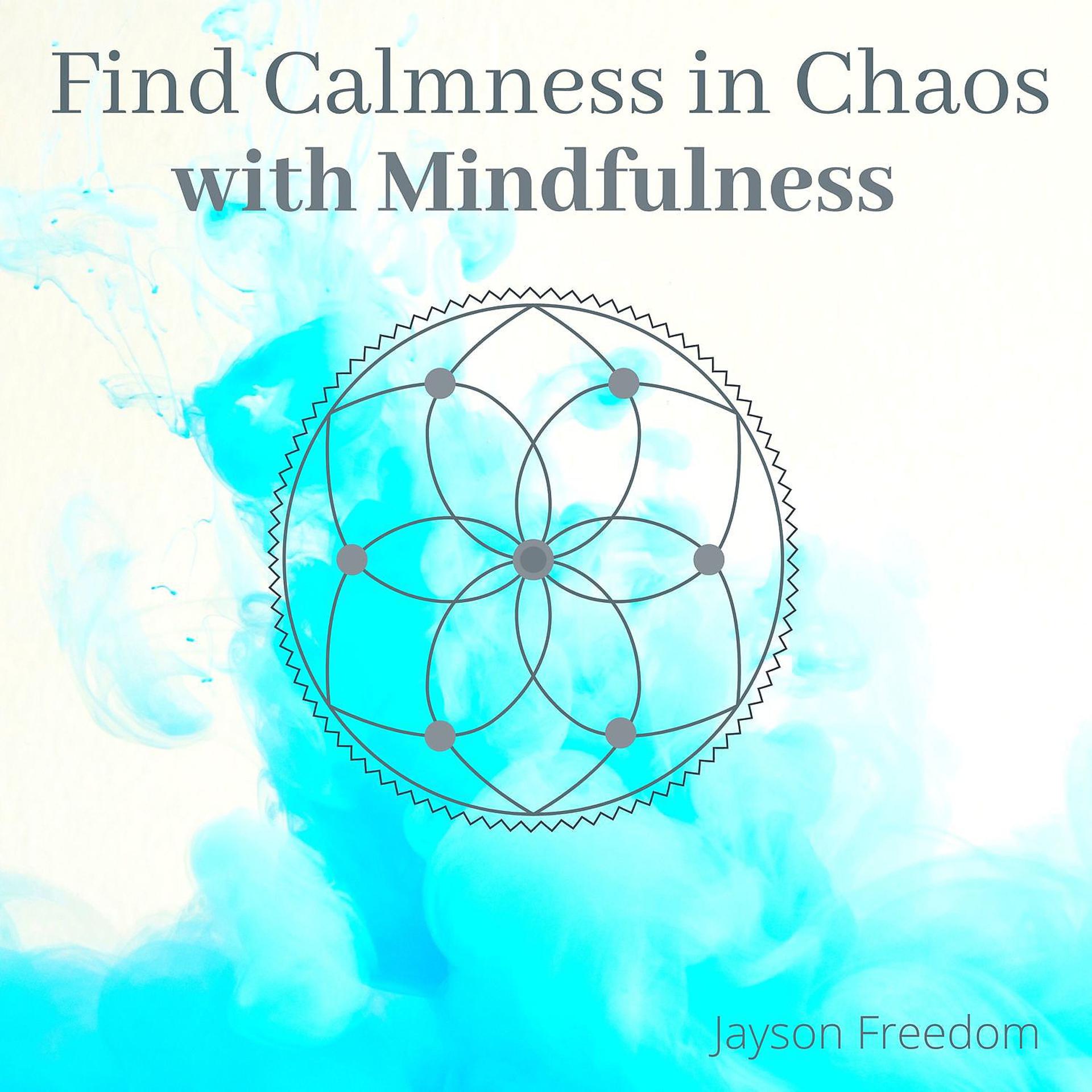 Постер альбома Find Calmness in Chaos with Mindfulness